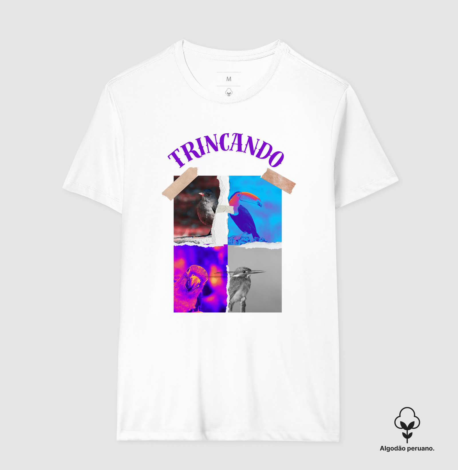 Camisa 6