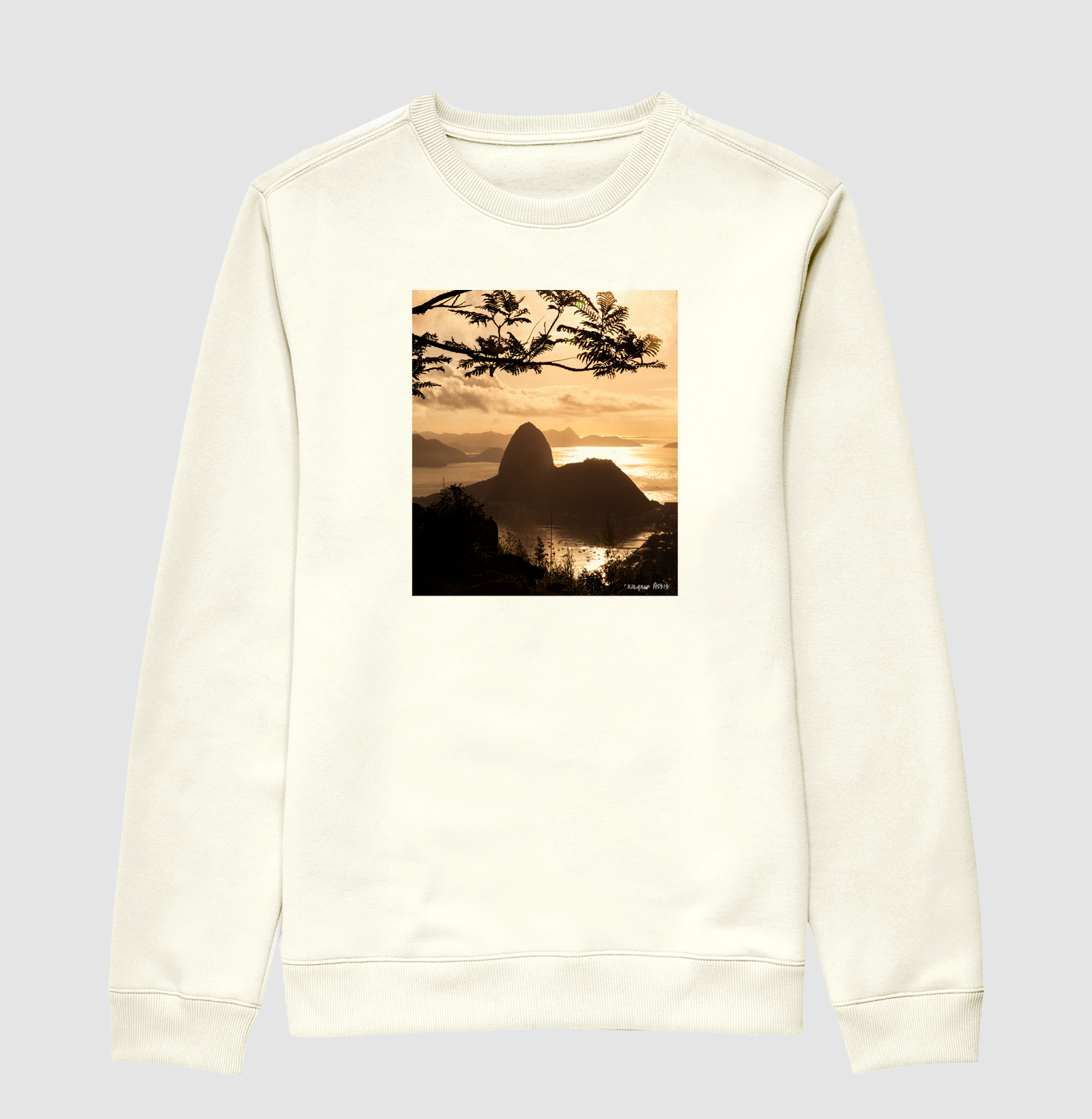 Camisa 1