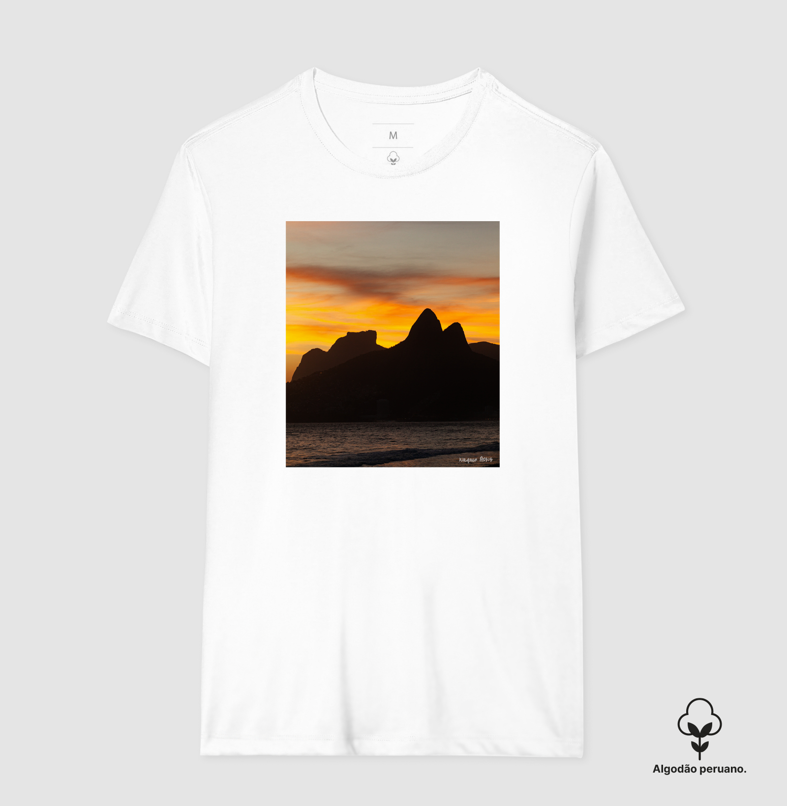 Camisa 6