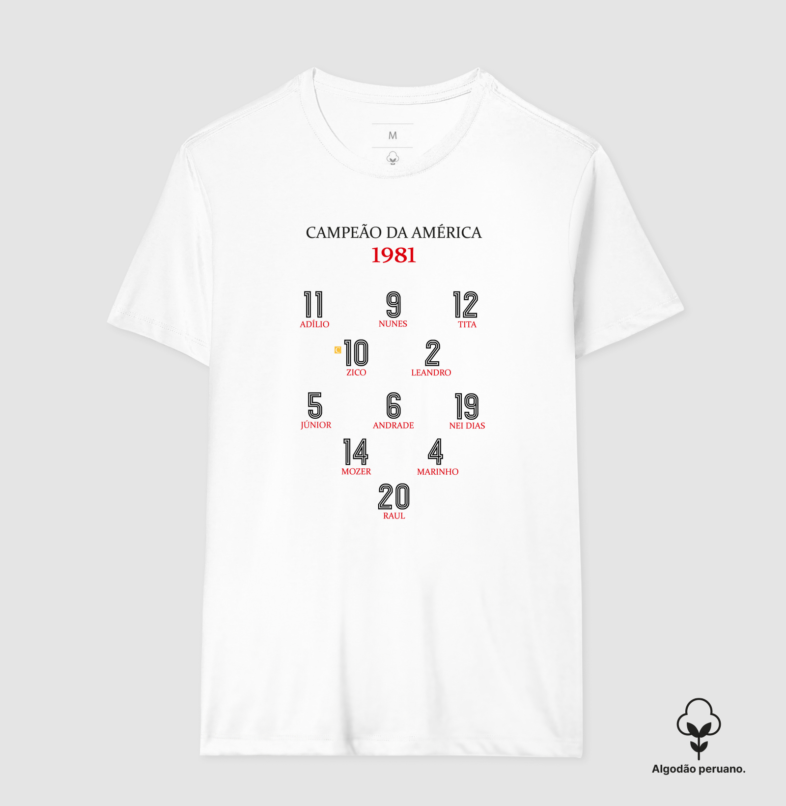 Camisa 3