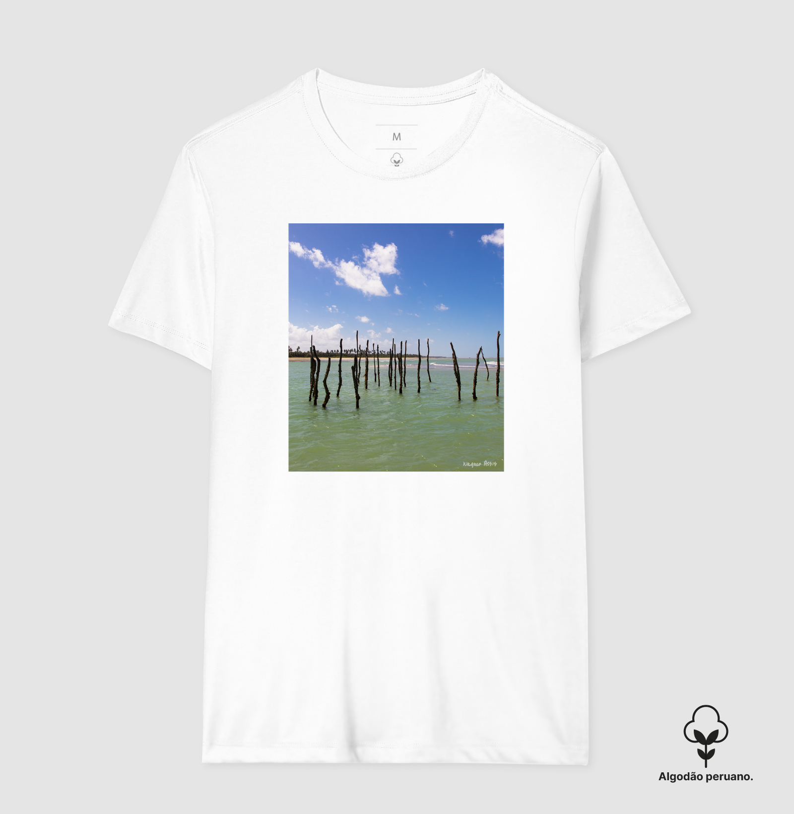 Camisa 3