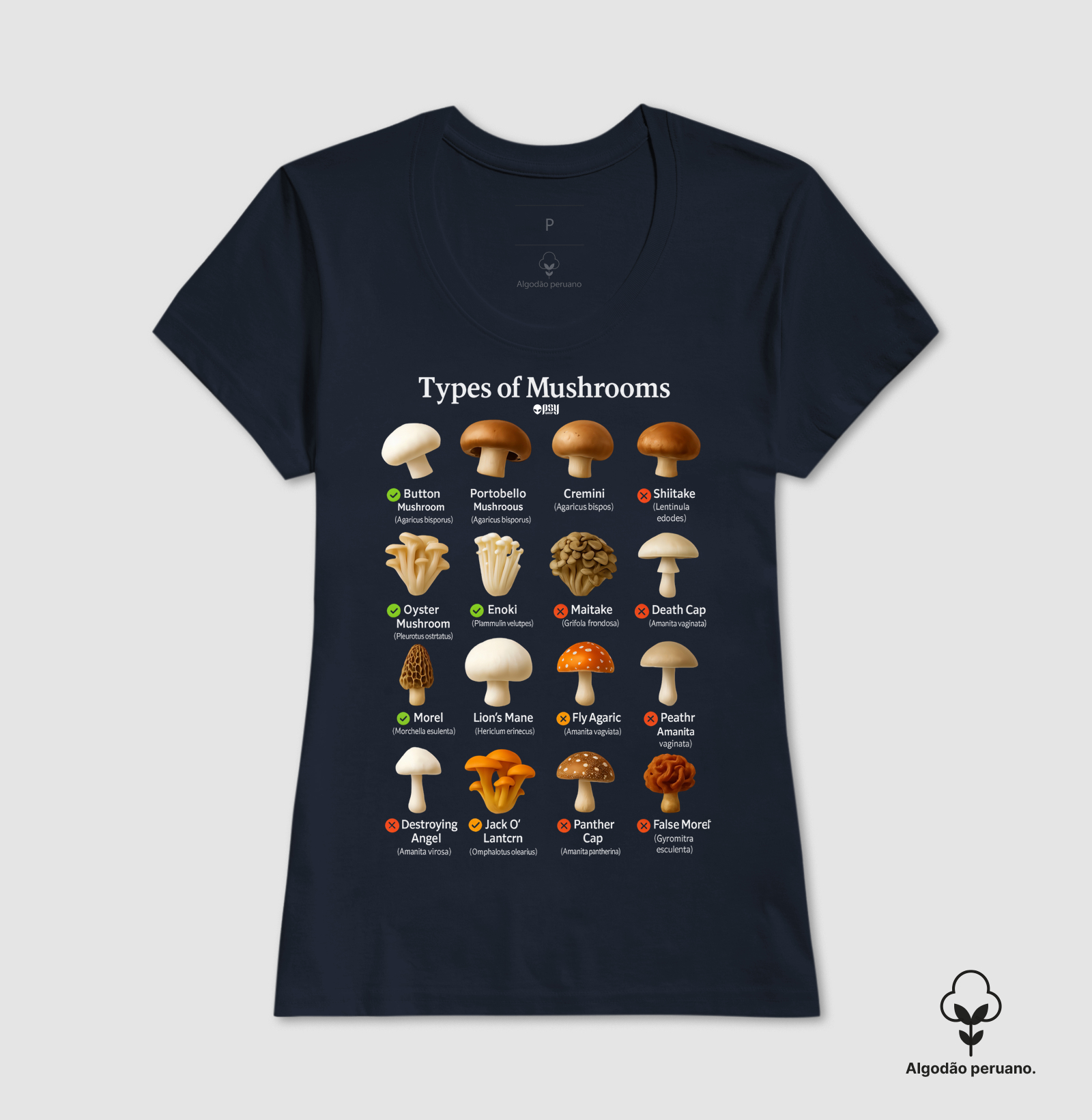 Camisa 6