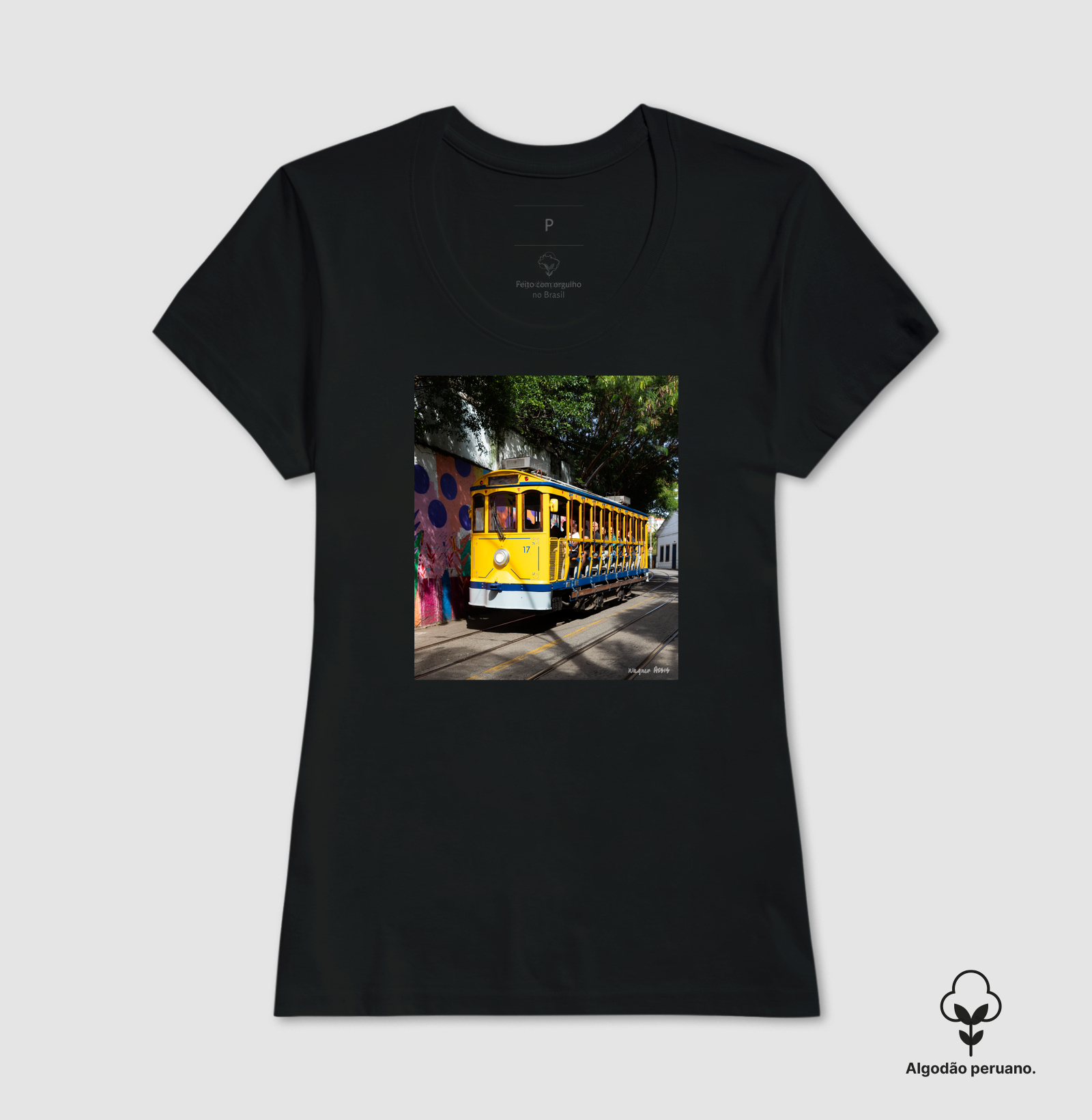 Camisa 1