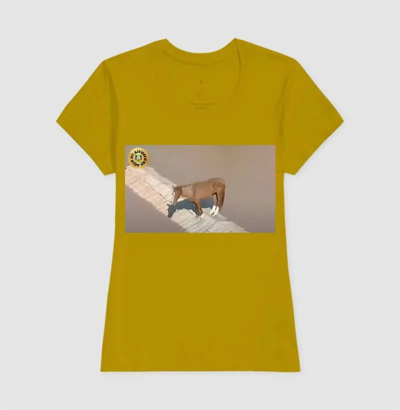 Camisa 13