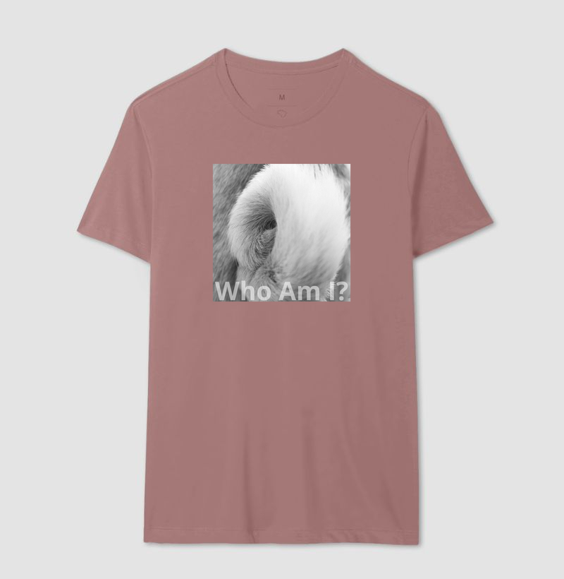 Camisa 17
