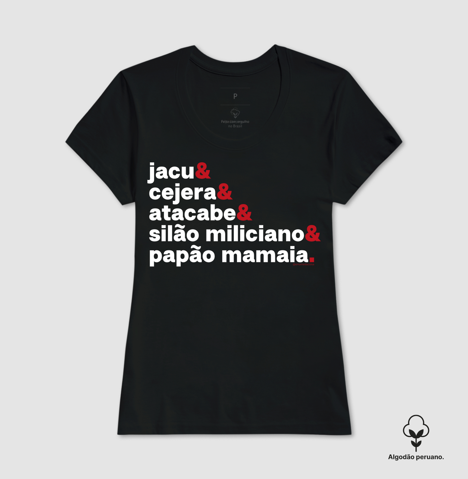 Camisa 1