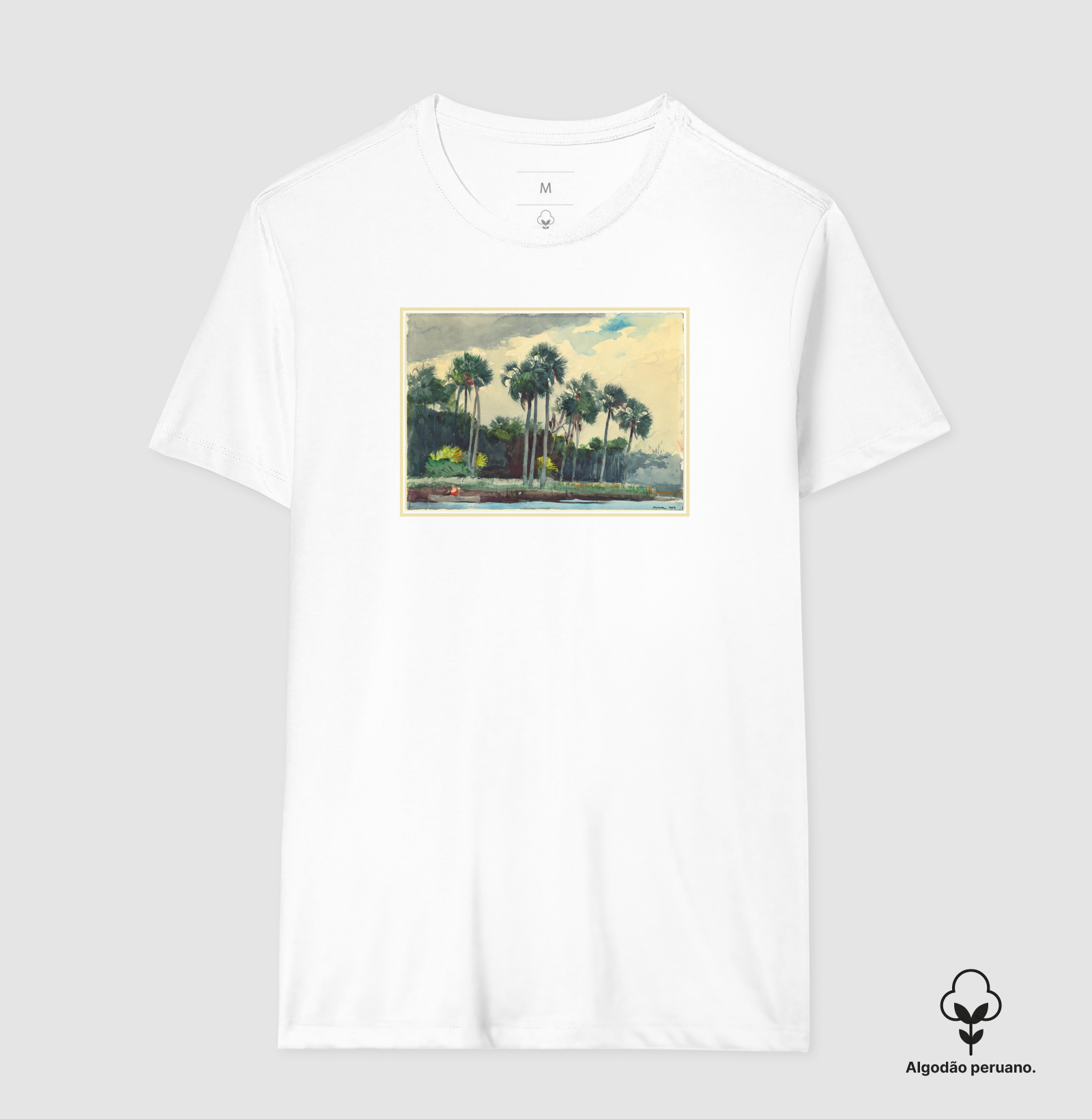 Camisa 1