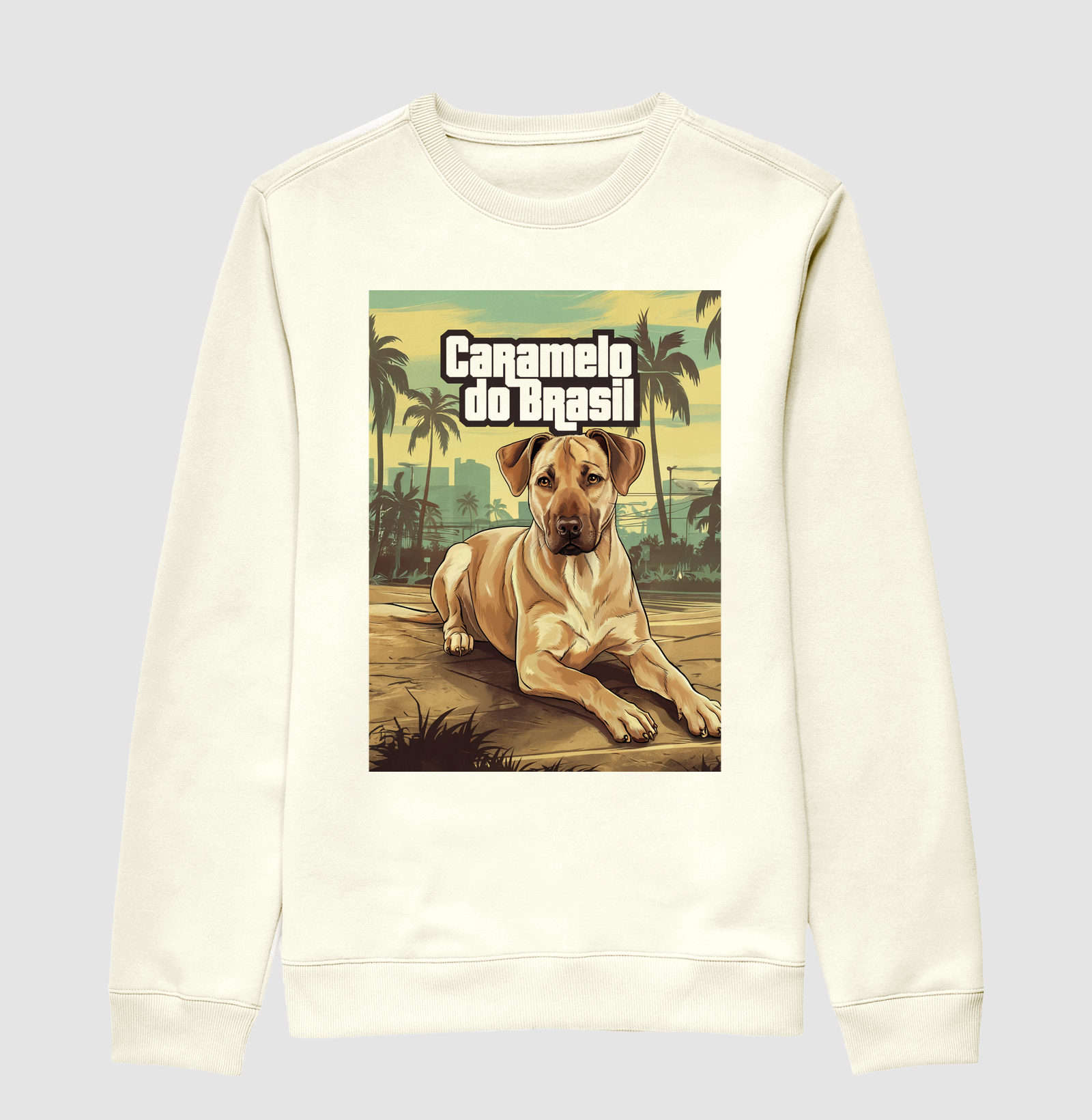 Camisa 1