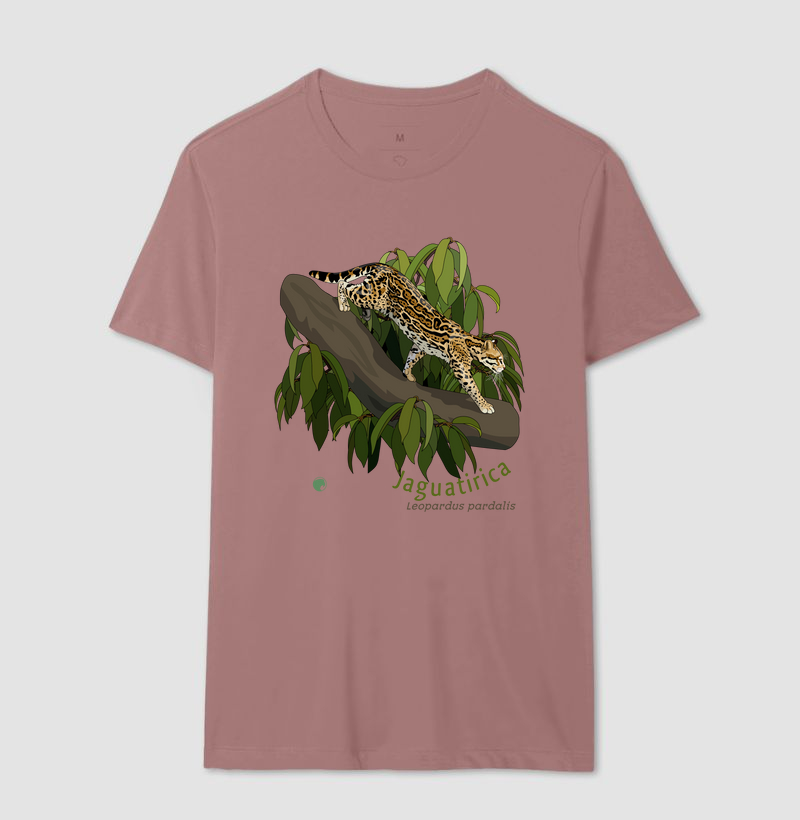 Camisa 17