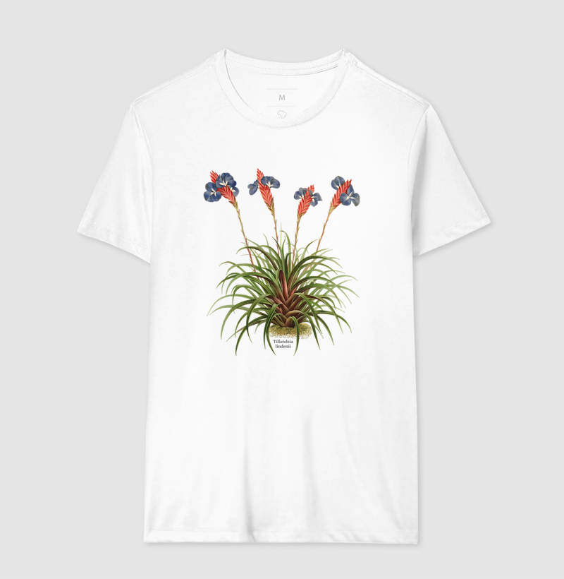 Camiseta Tillandsia lindenii