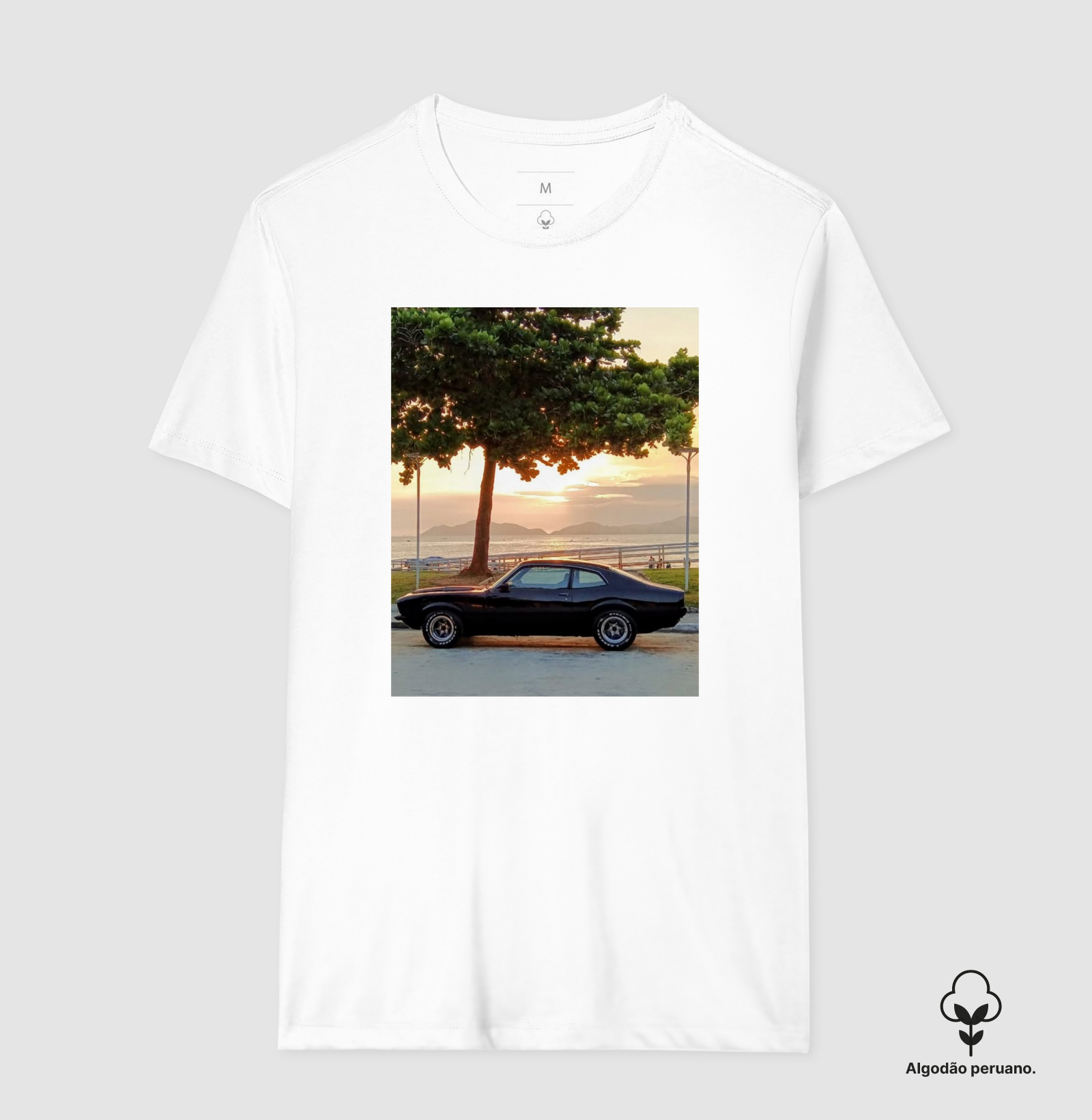 Camisa 5