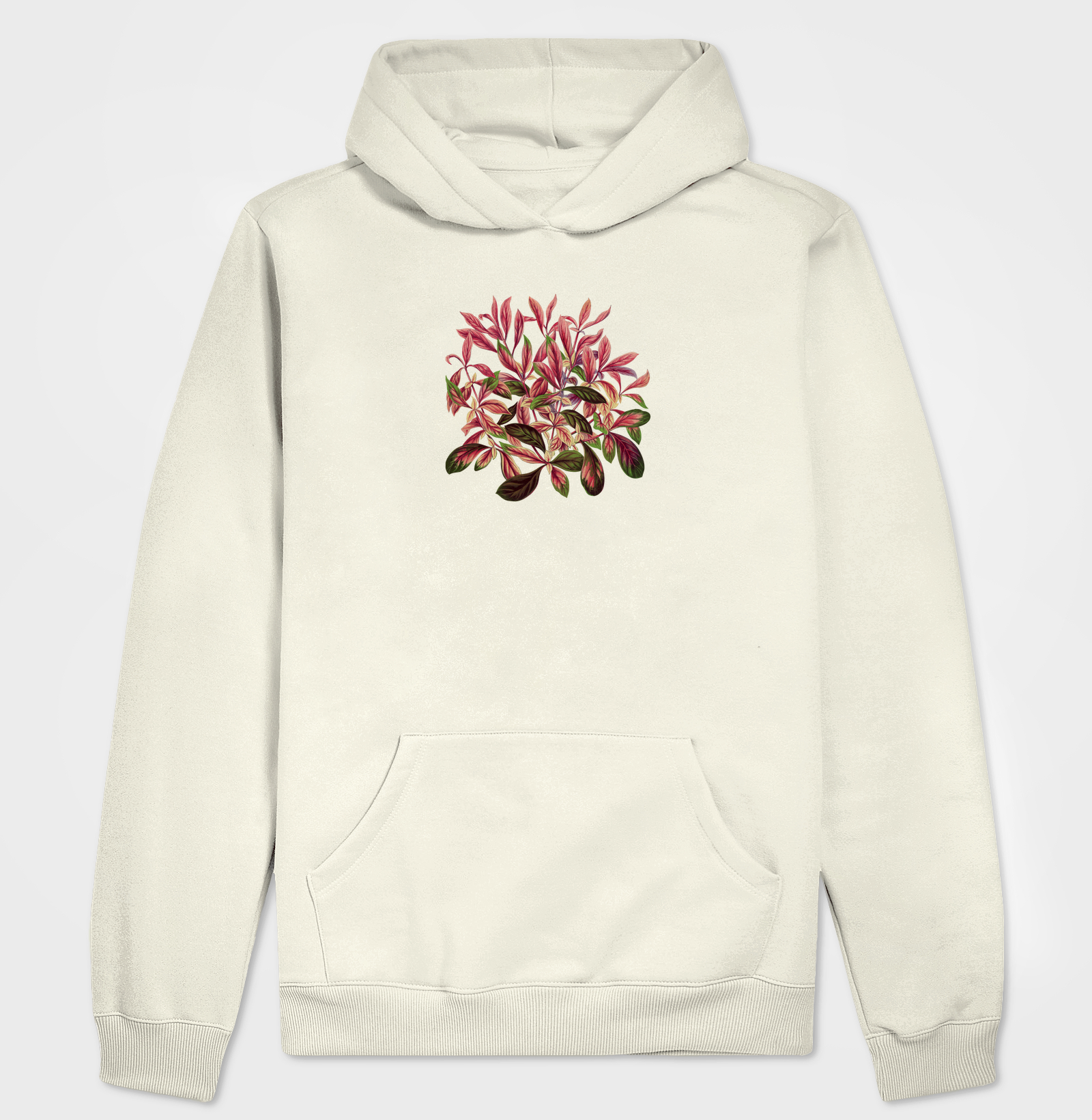 Alternanthera