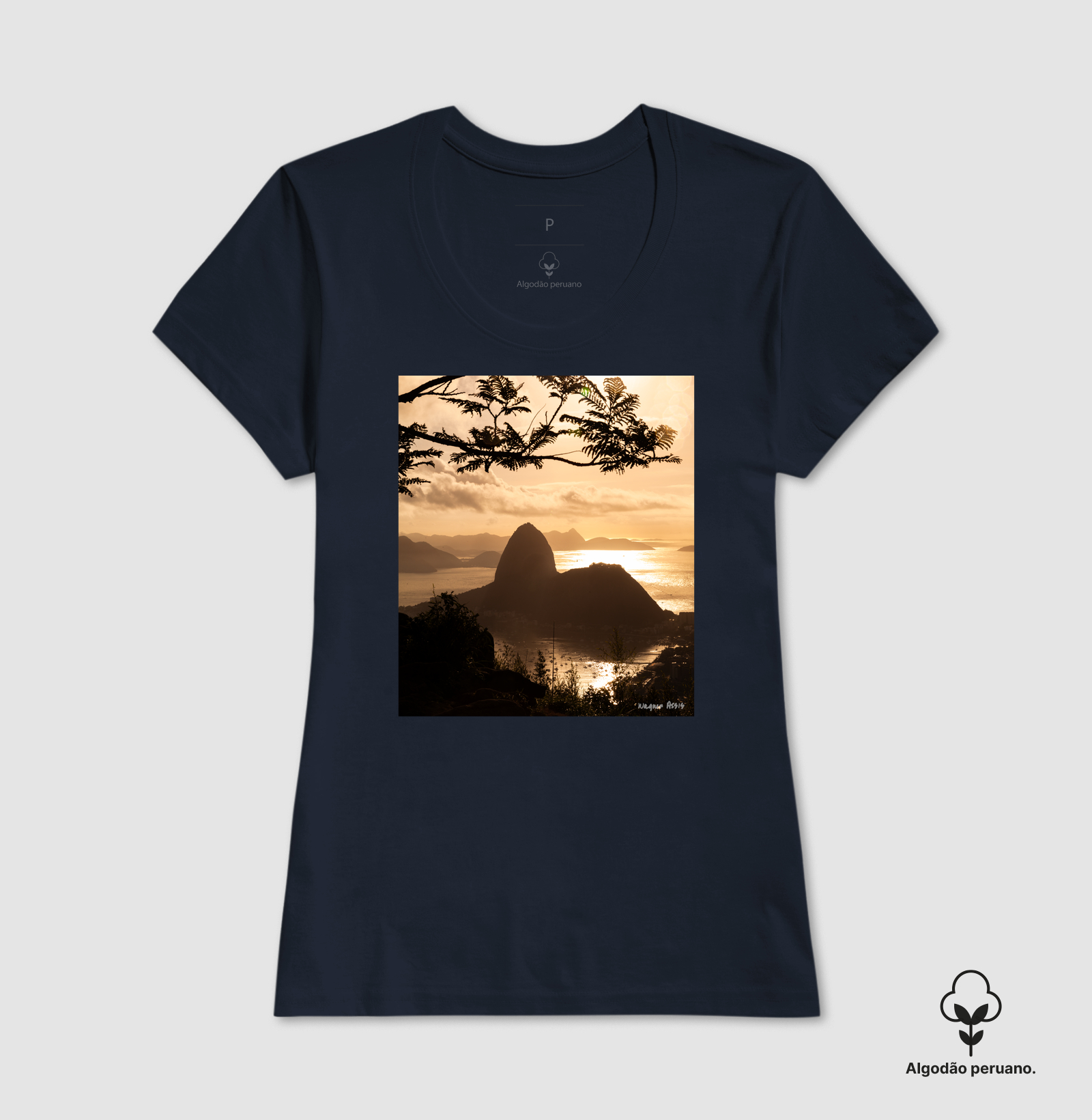 Camisa 6