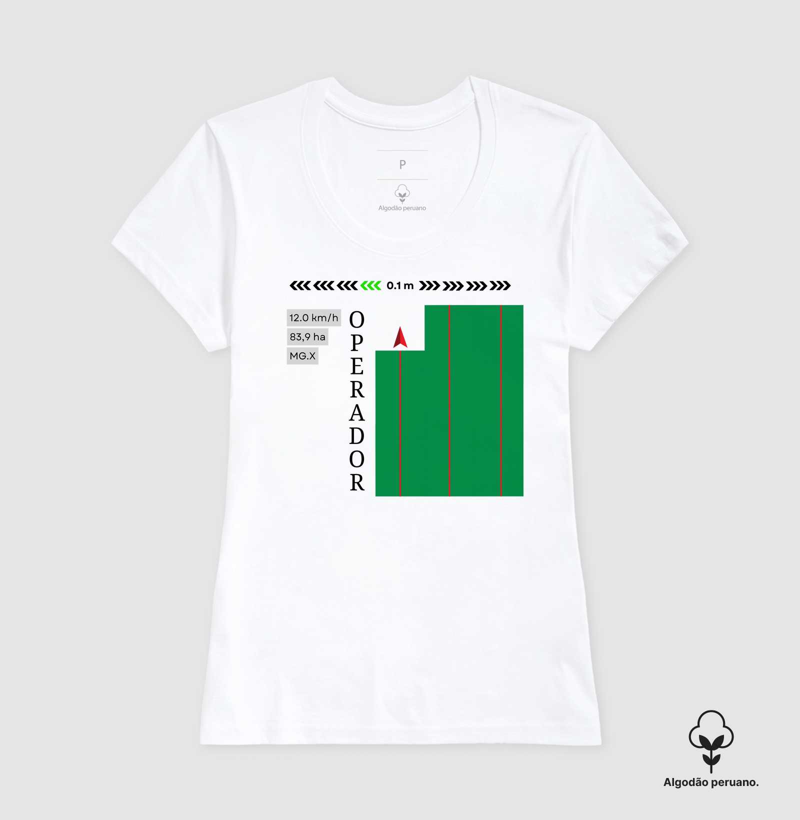 Camisa 6