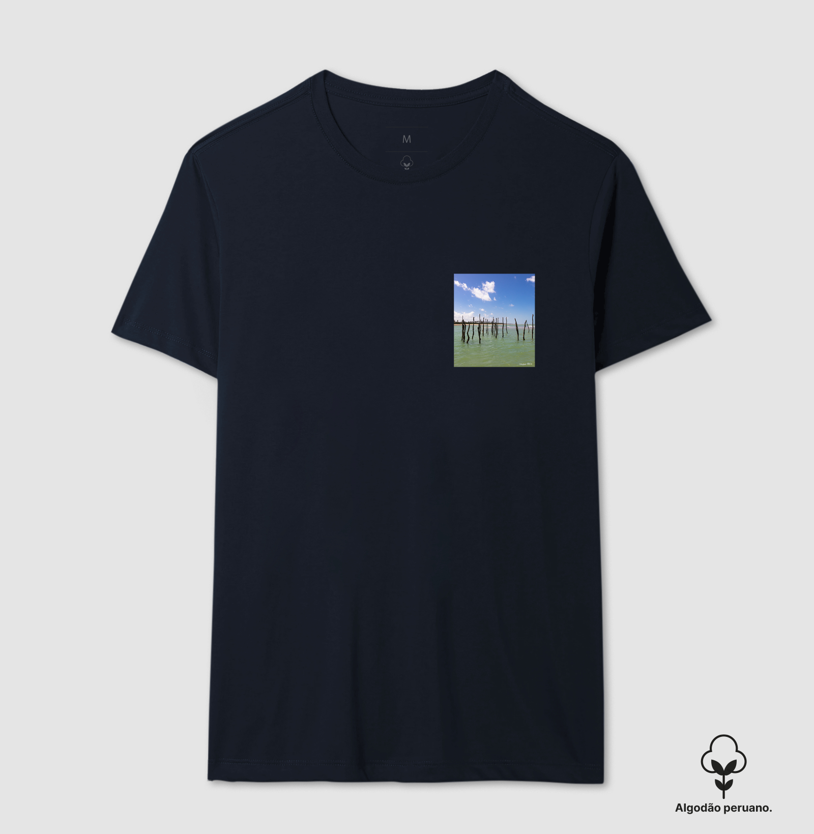 Camisa 2