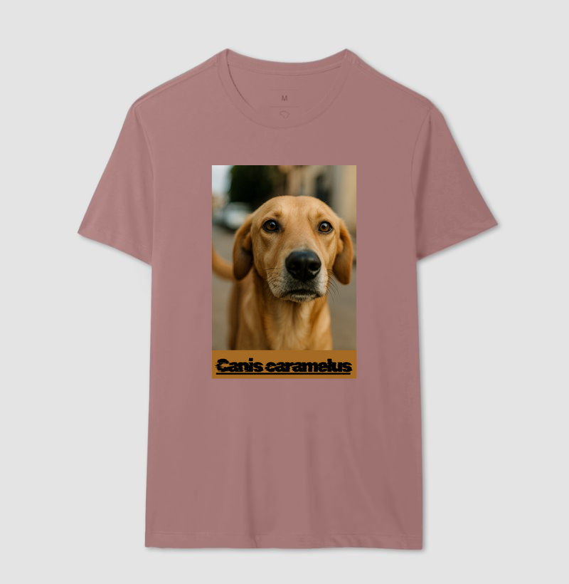 Camisa 17