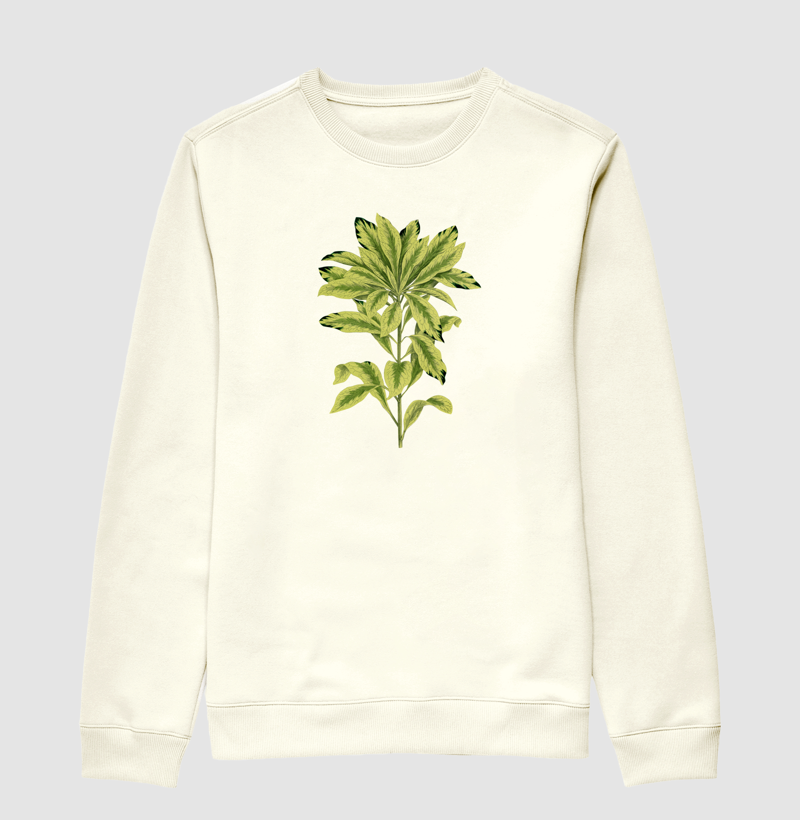 Green Daphne