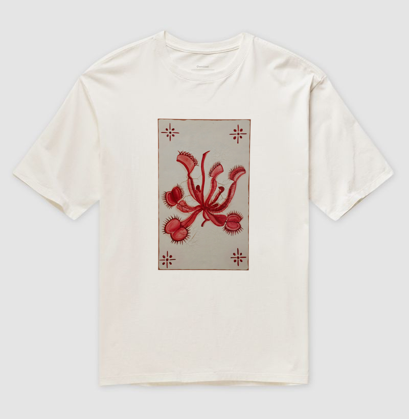Carnívoras