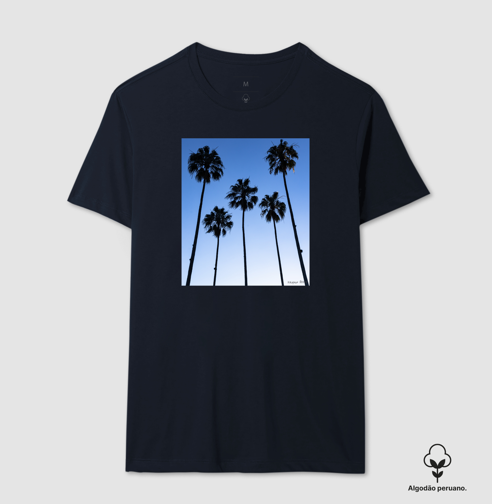 Camisa 6