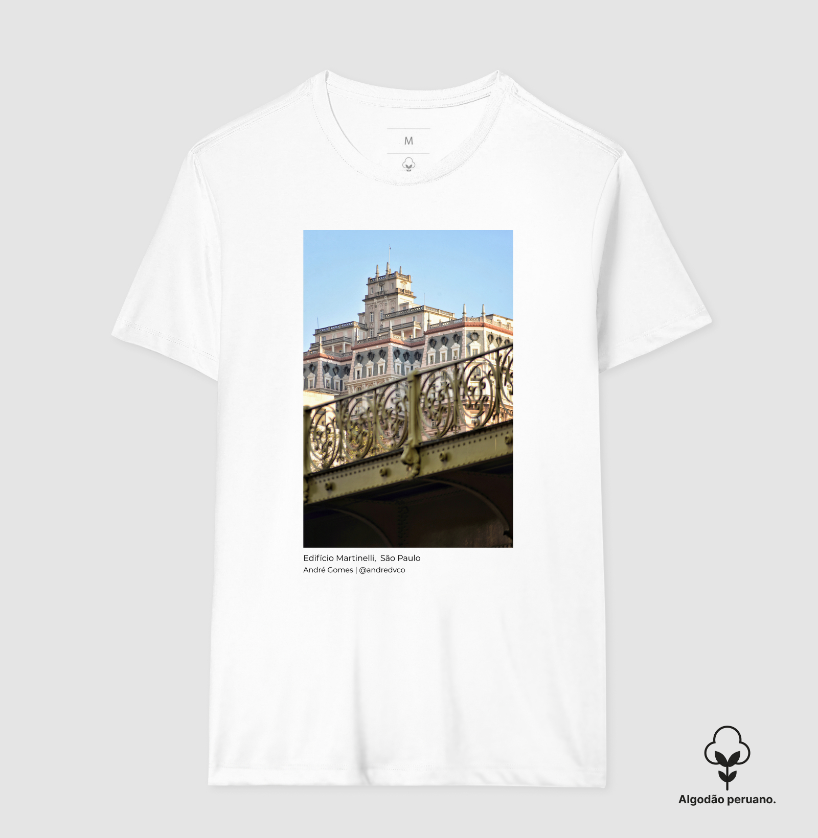Camisa 1