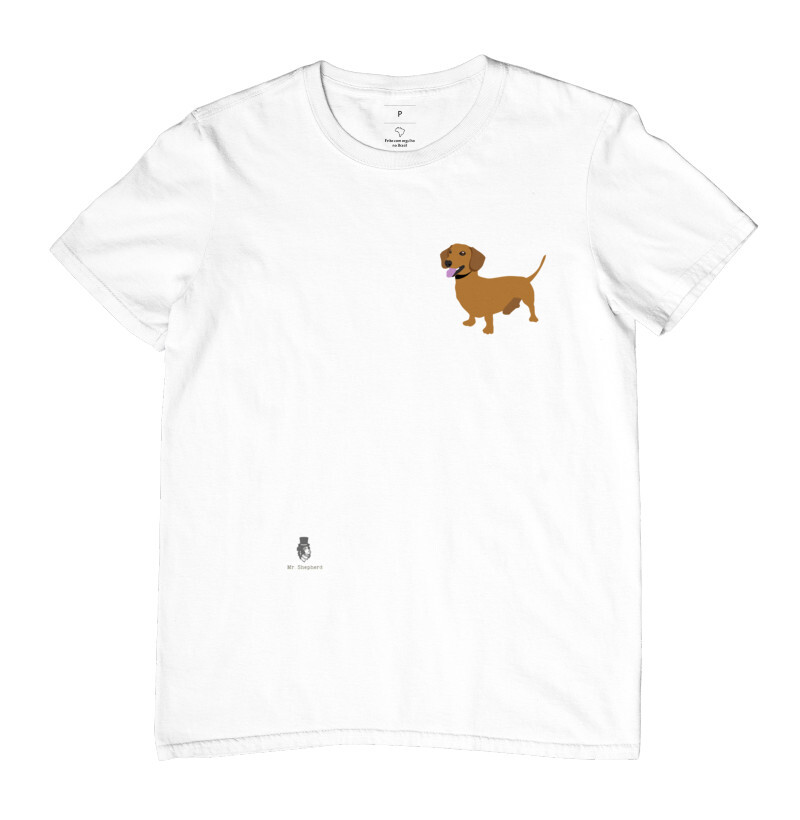 Dachshund Salasicha 2 