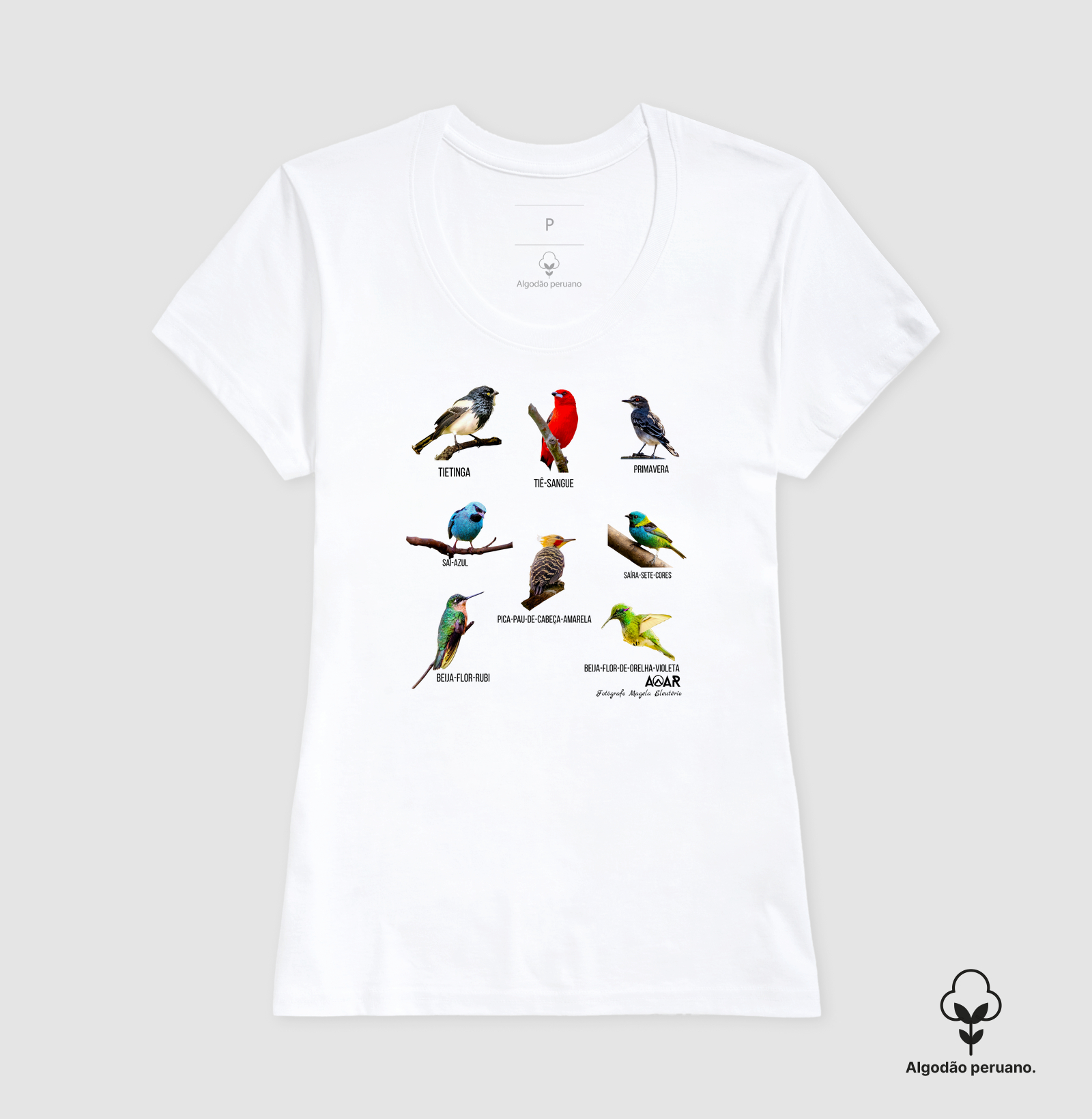 Camisa 4