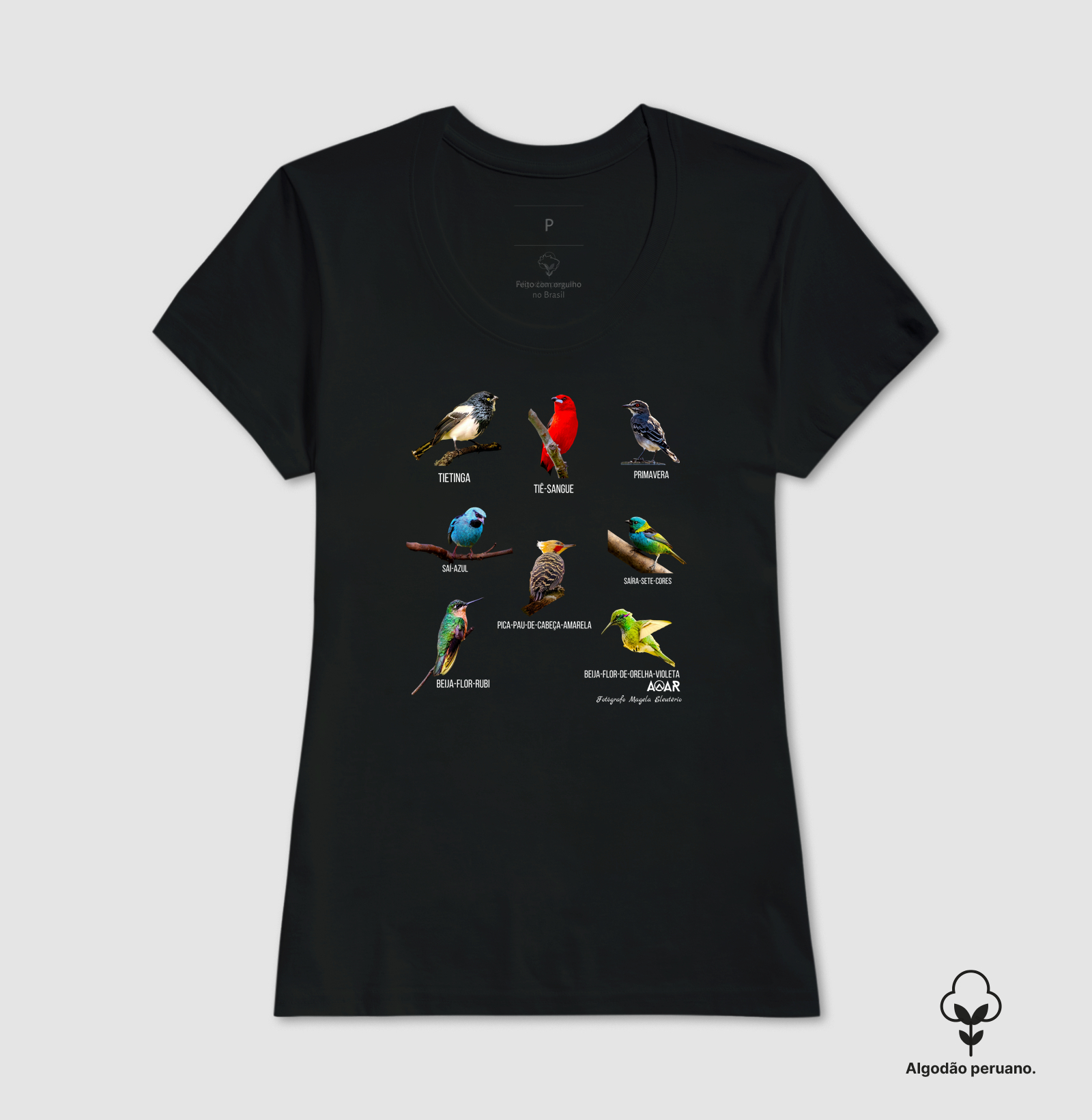 Camisa 6