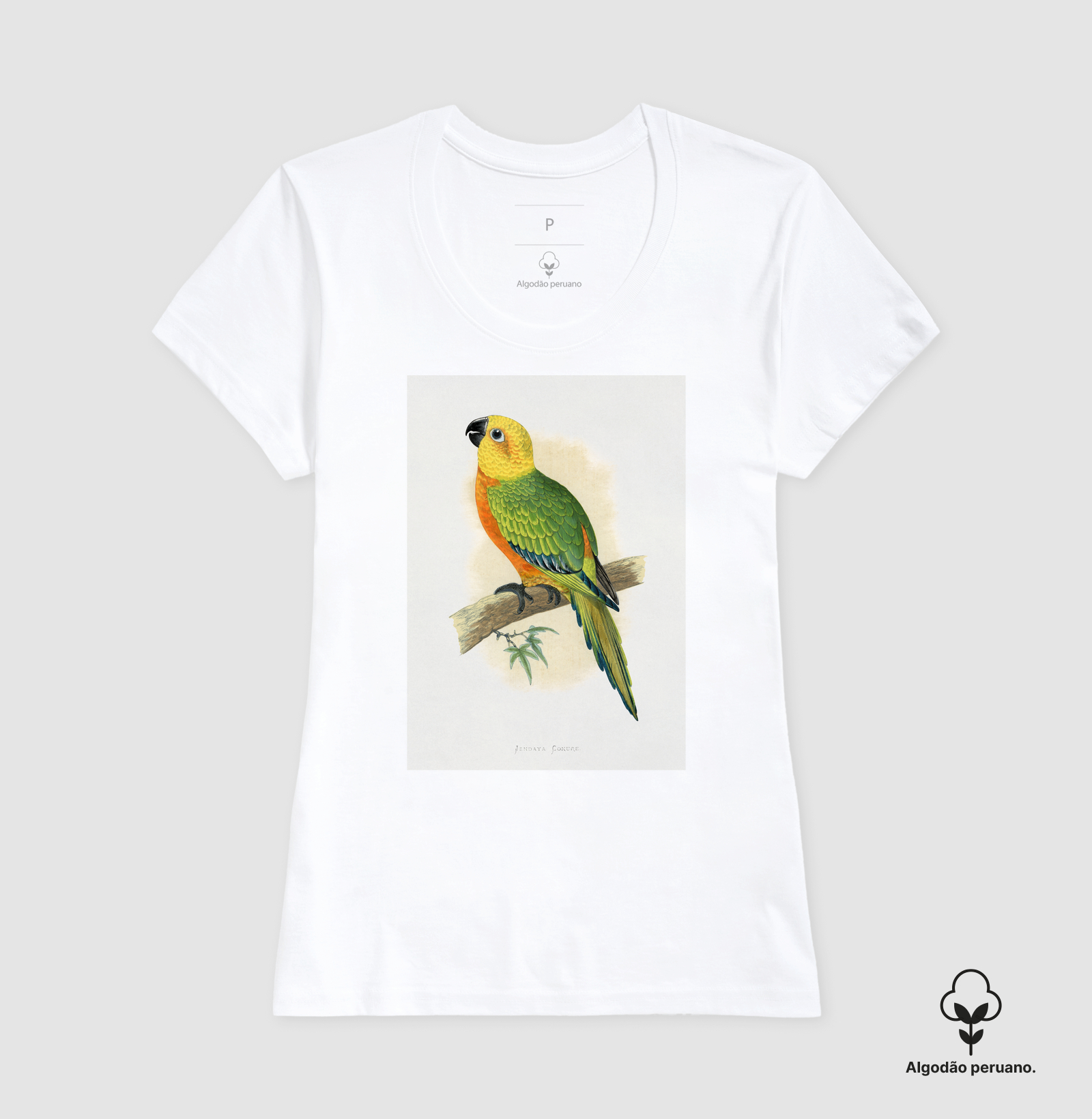 Camisa 2