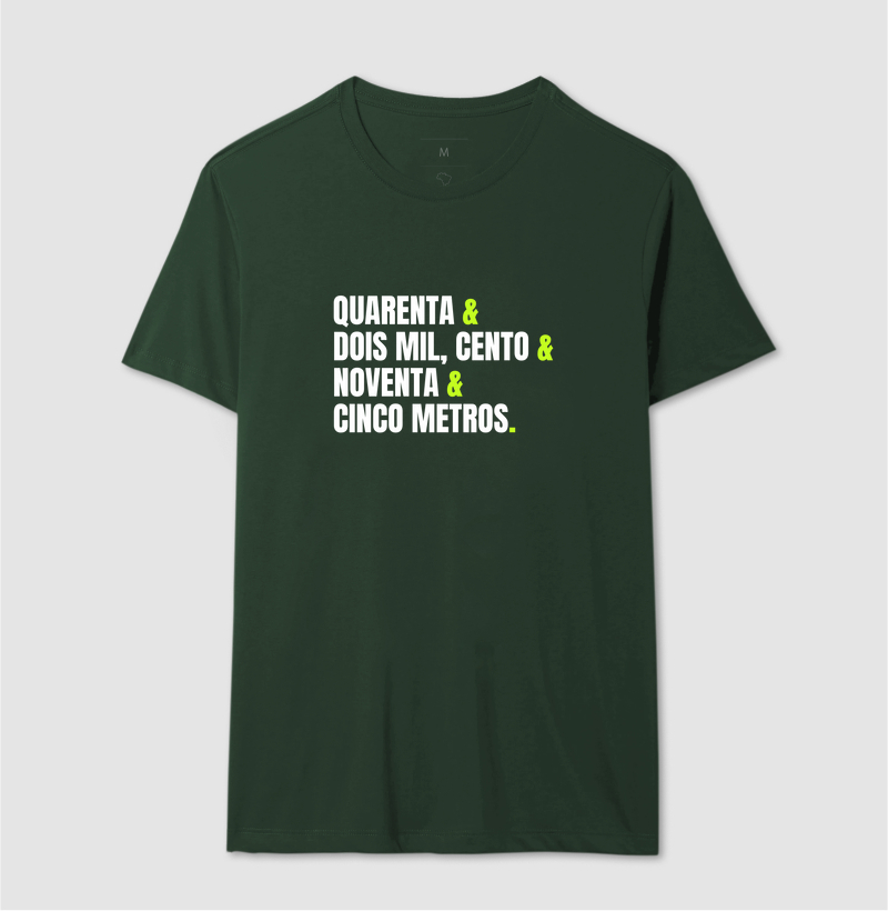 Camisa 12