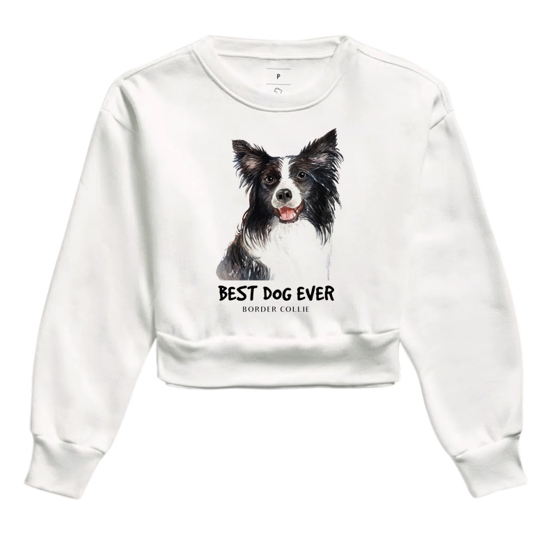 Cropped Moletom Camiseta Border Collie