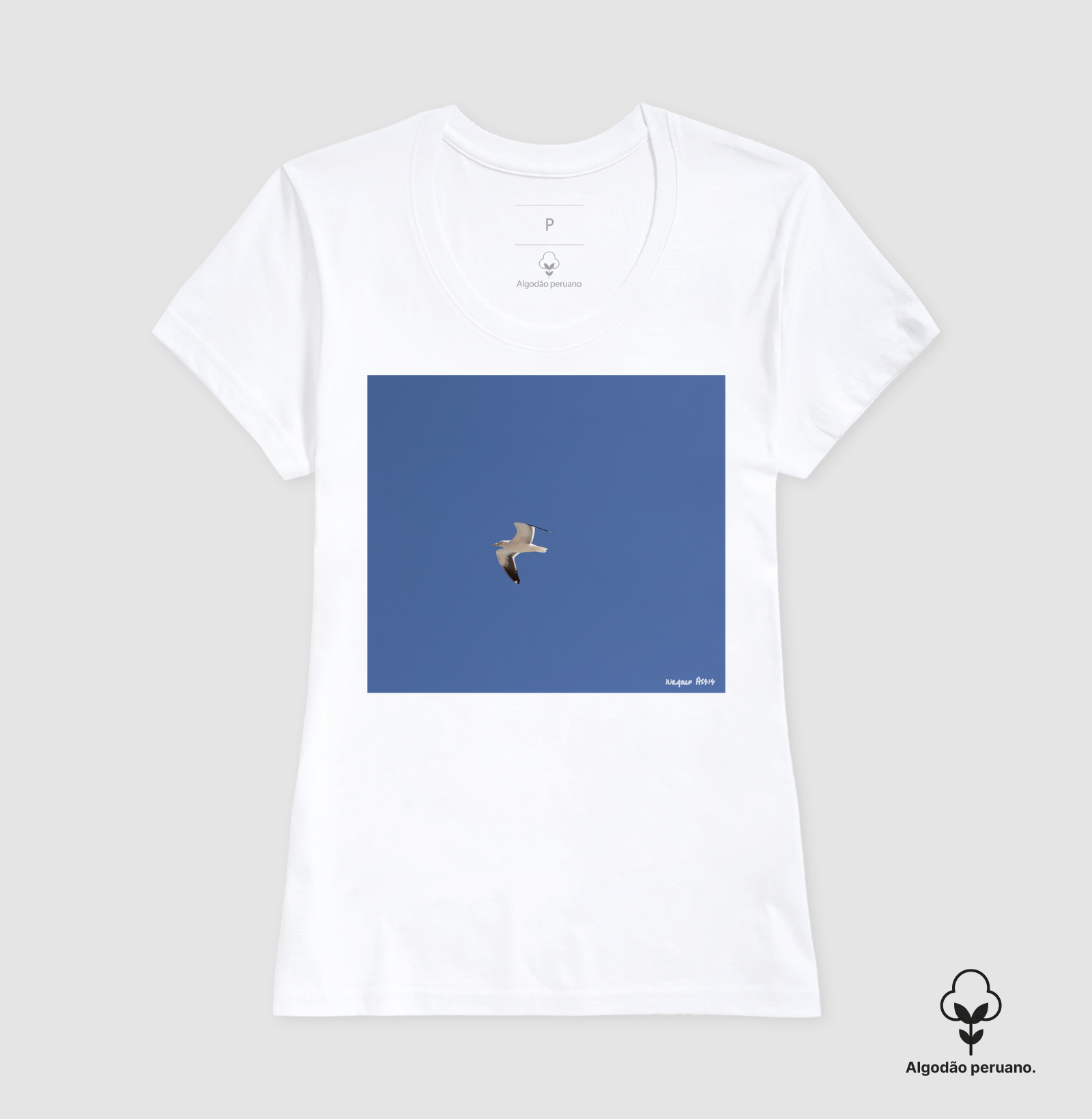Camisa 6