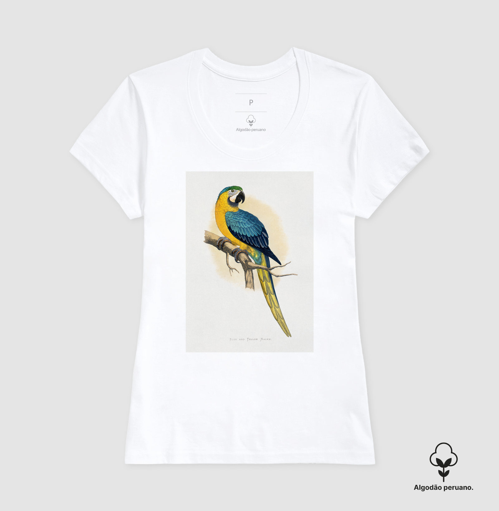 Camisa 2