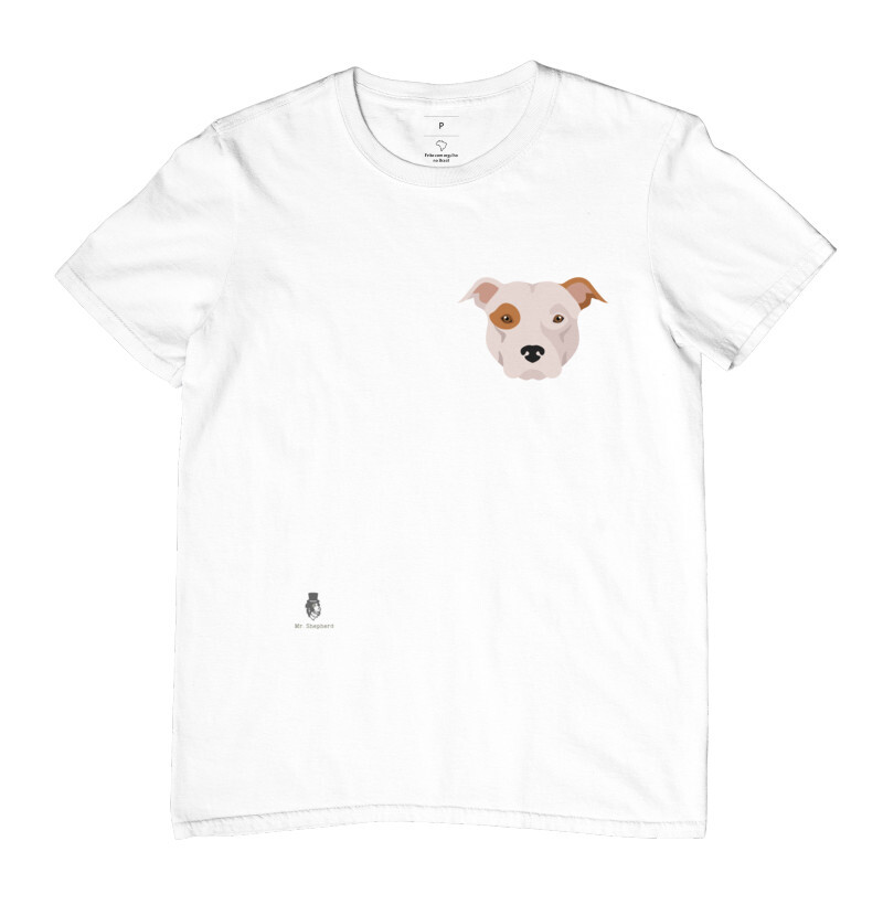 terrier amstaff 1