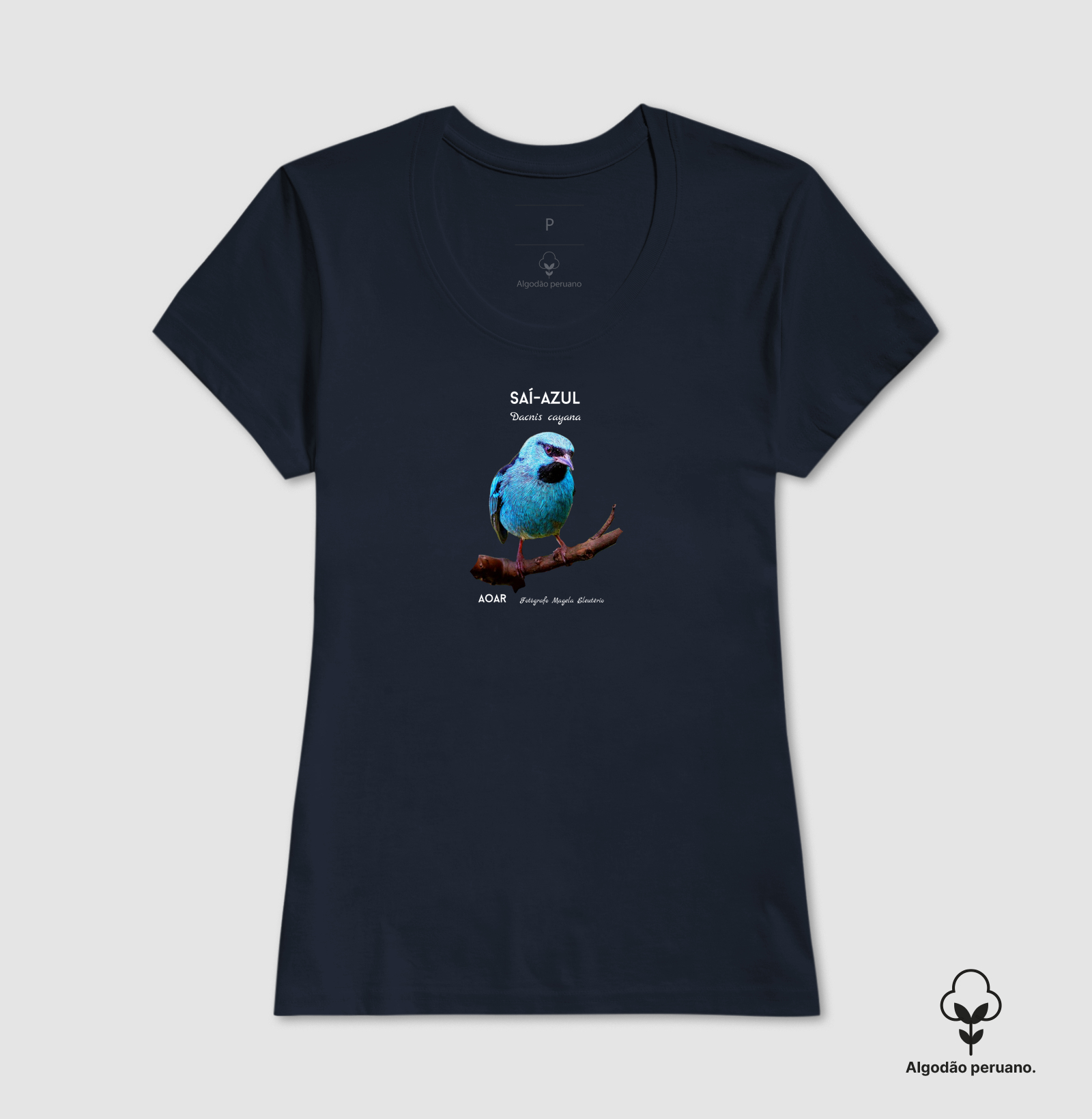 Camisa 6