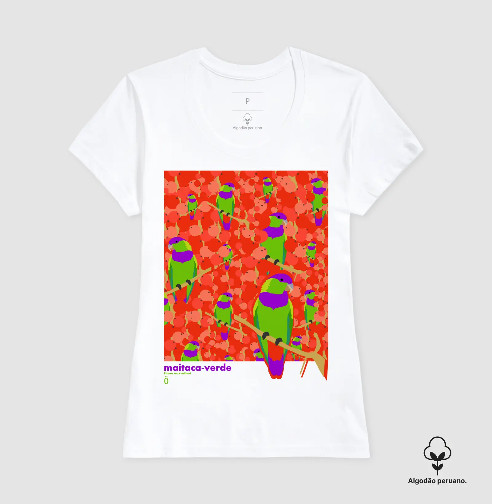 Camisa 1