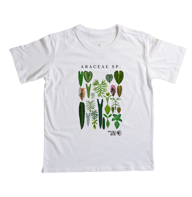 ARACEAE SP