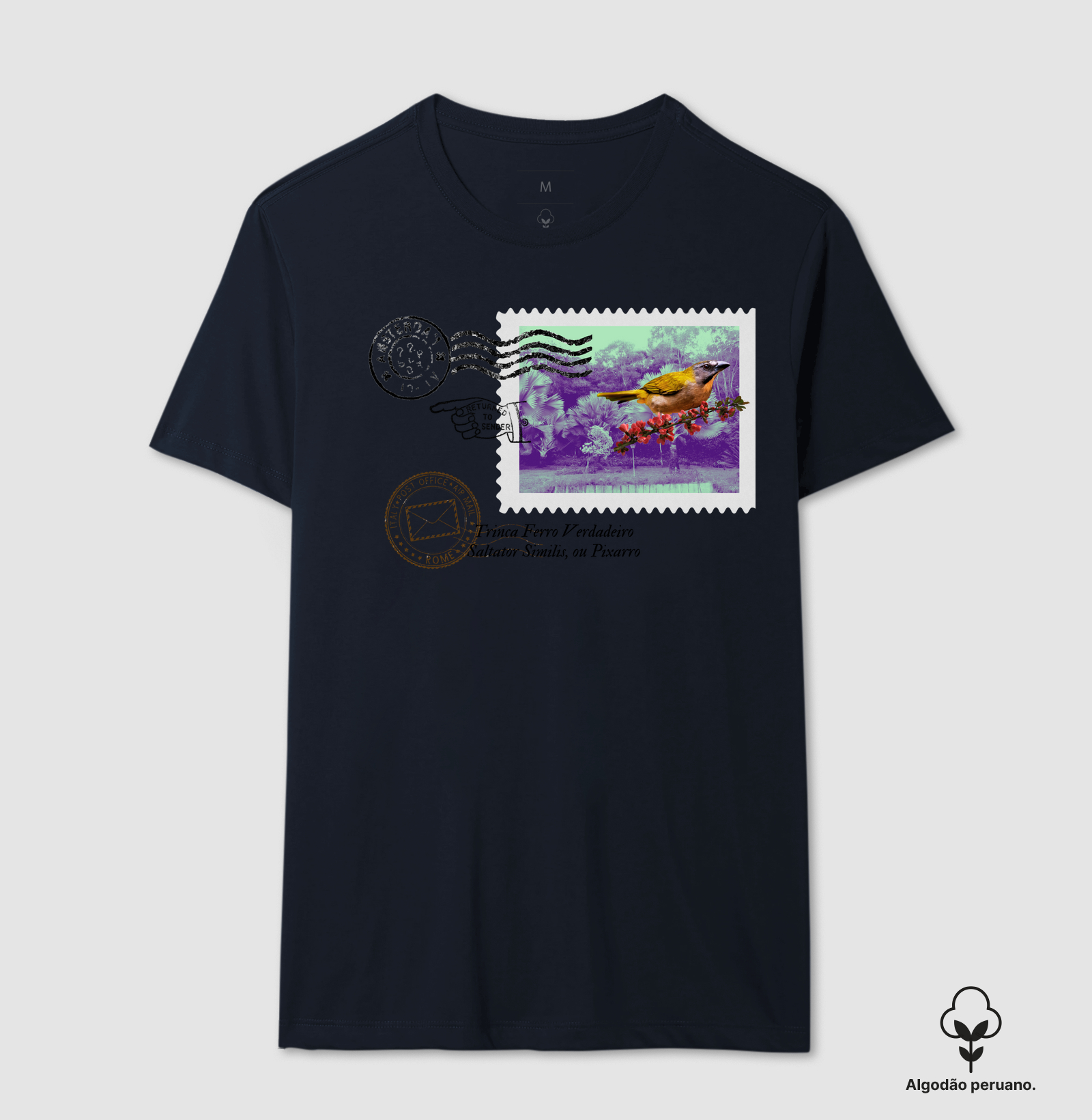 Camisa 6