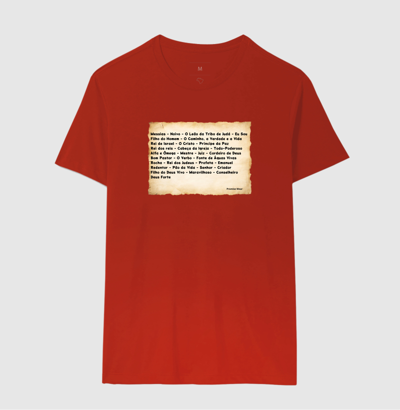 Camisa 17