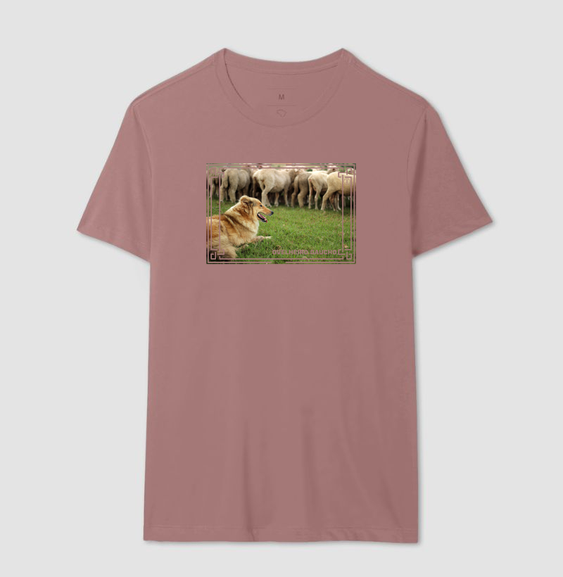 Camisa 17