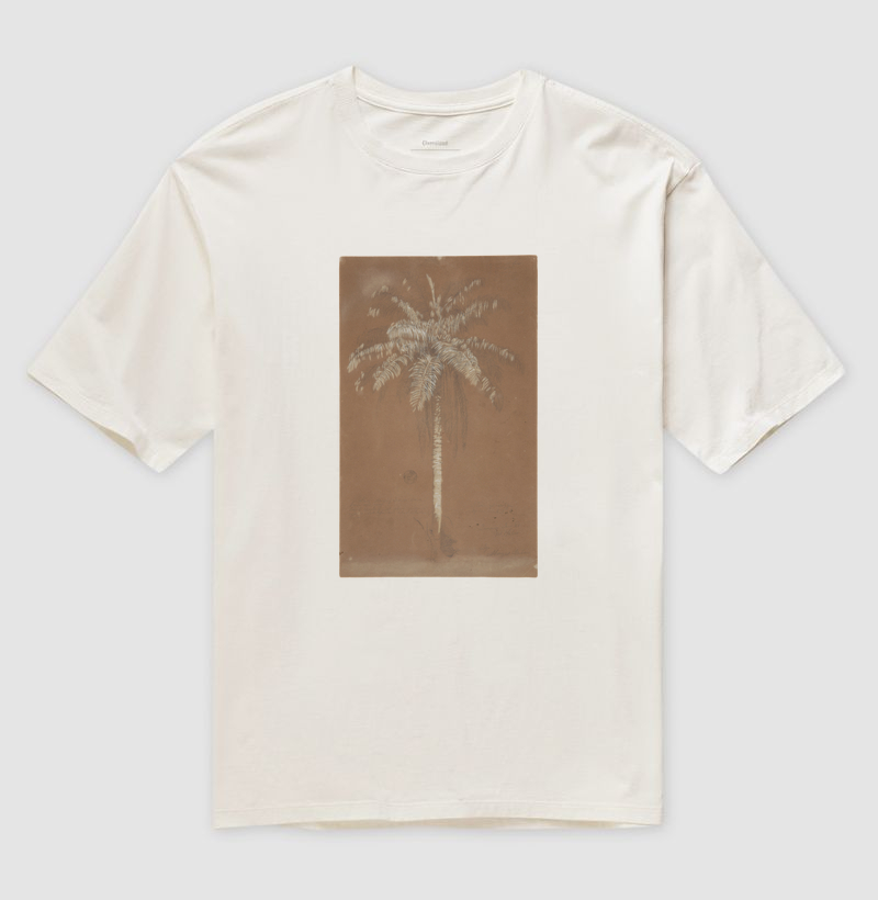 Abaye Palm