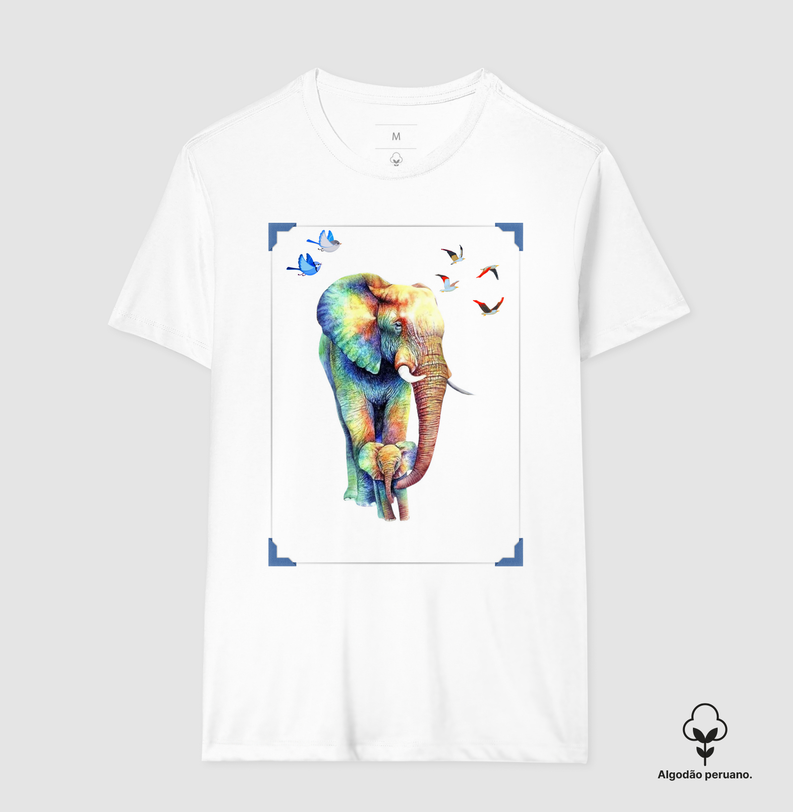 Camisa 6