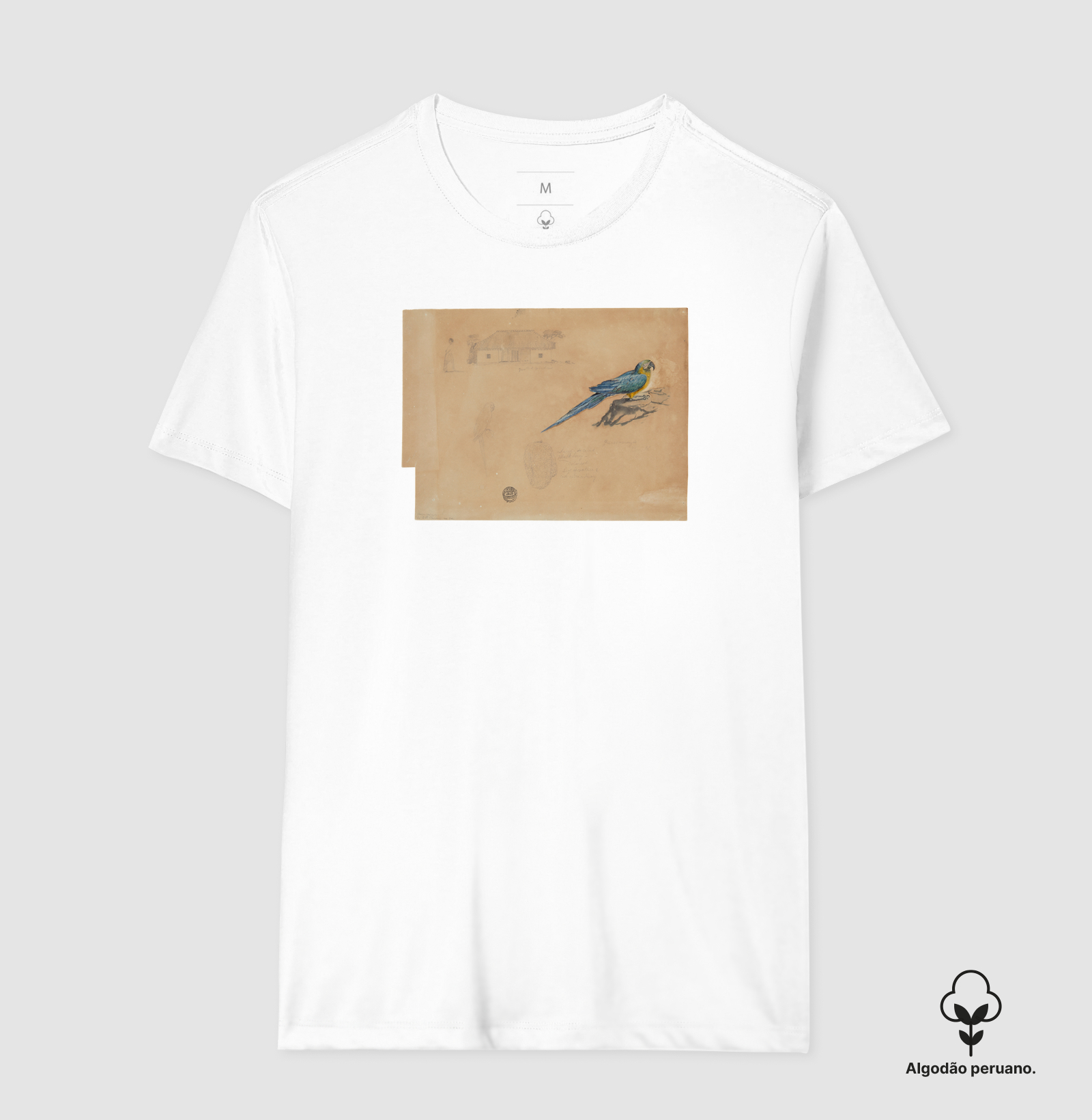 Camisa 2