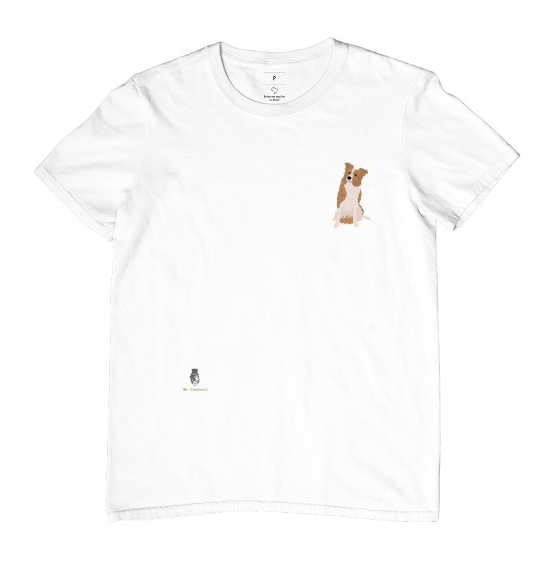 Border Collie 2 