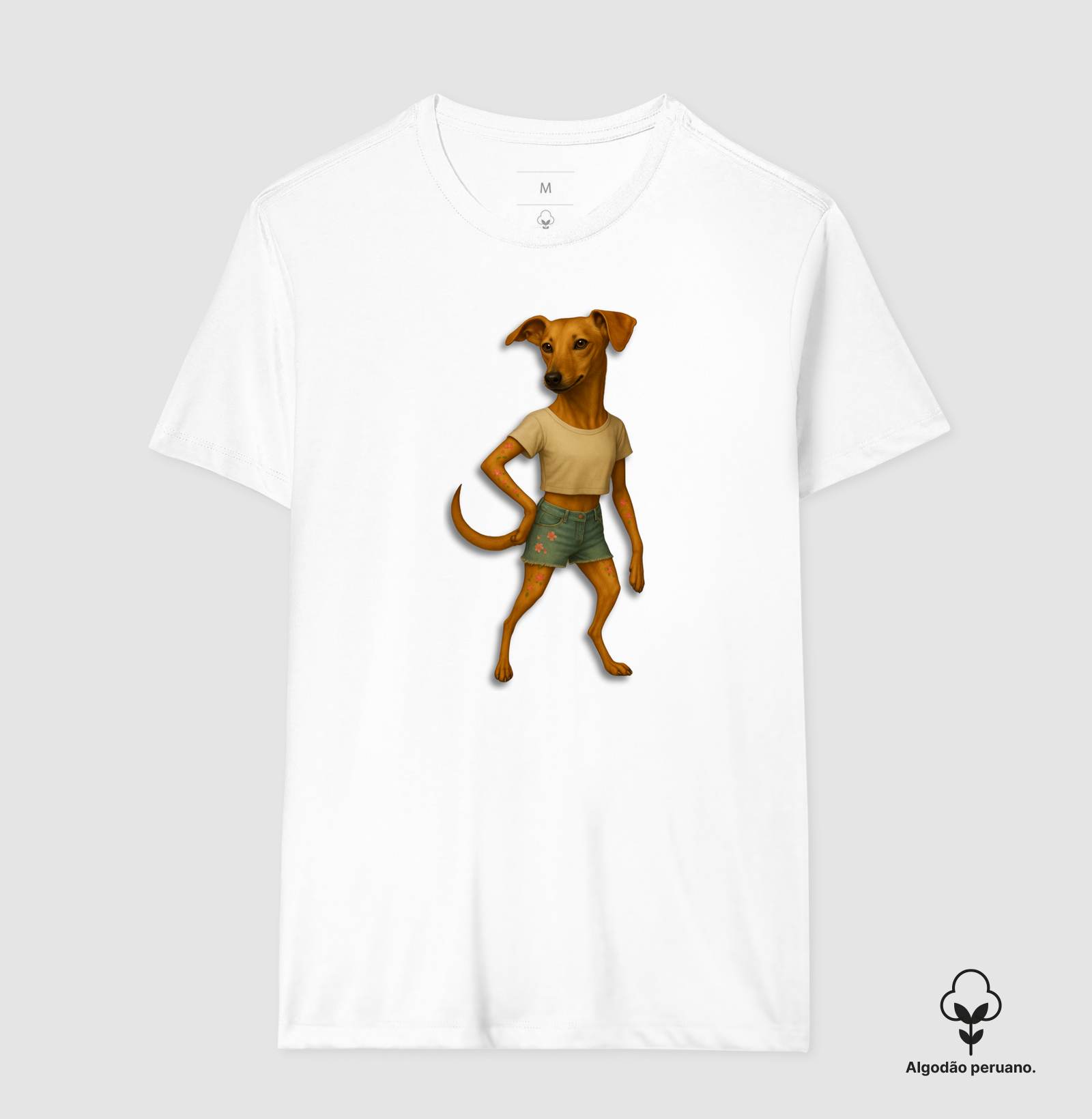 Camisa 6