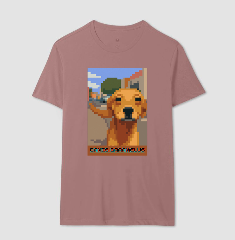 Camisa 17