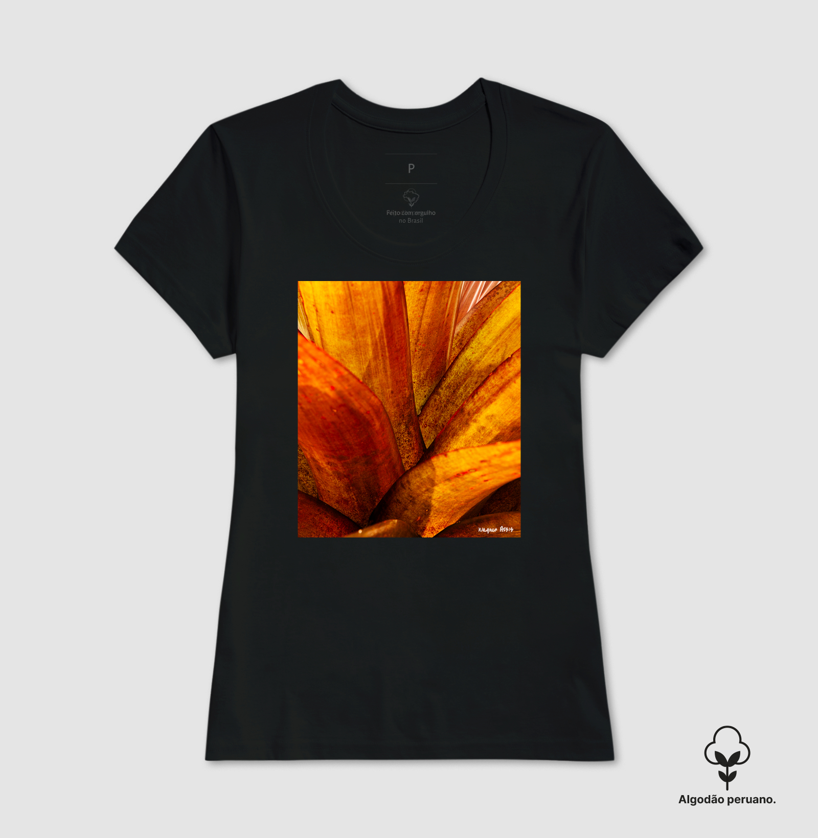 Camisa 1