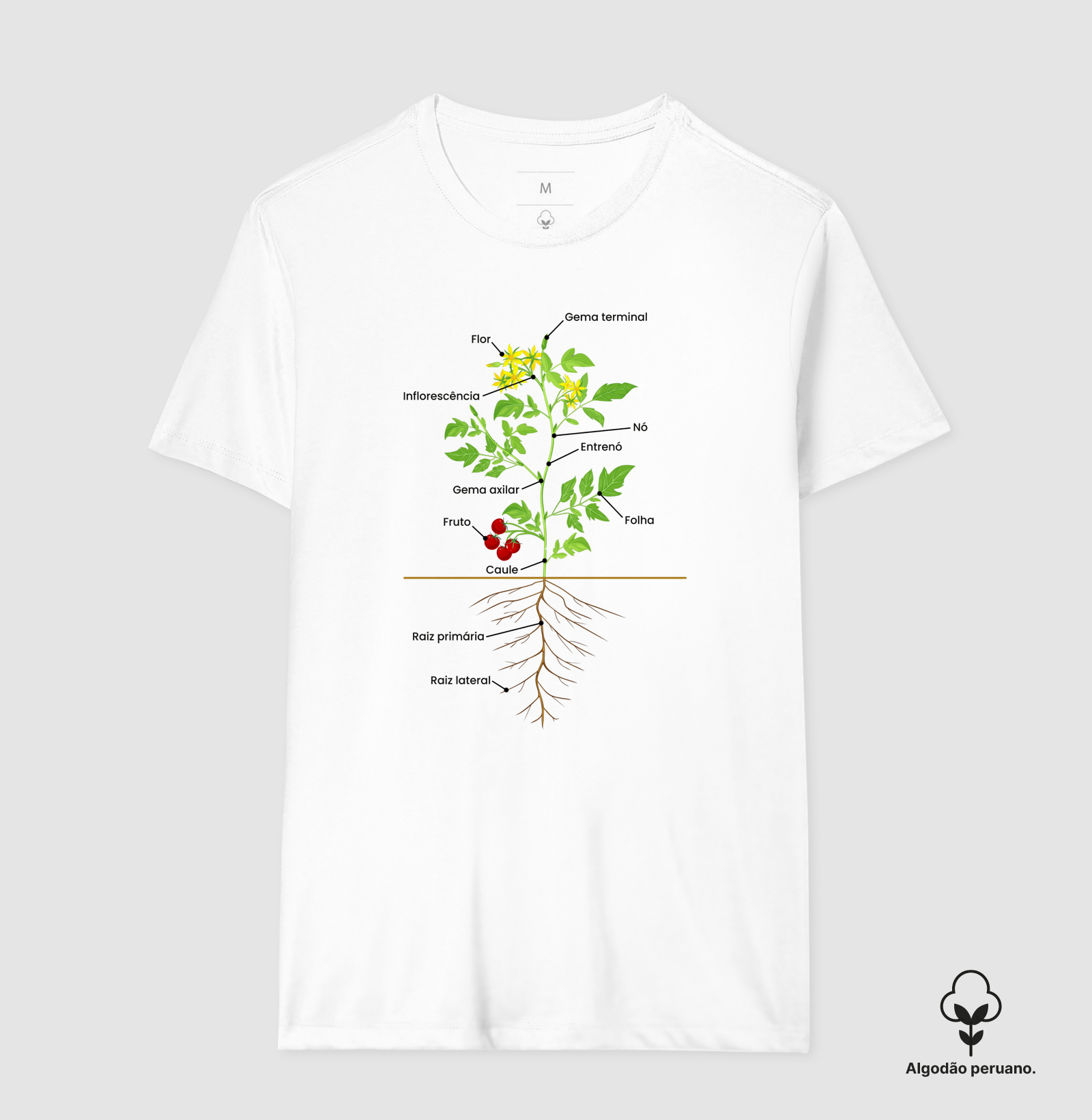 Camisa 3