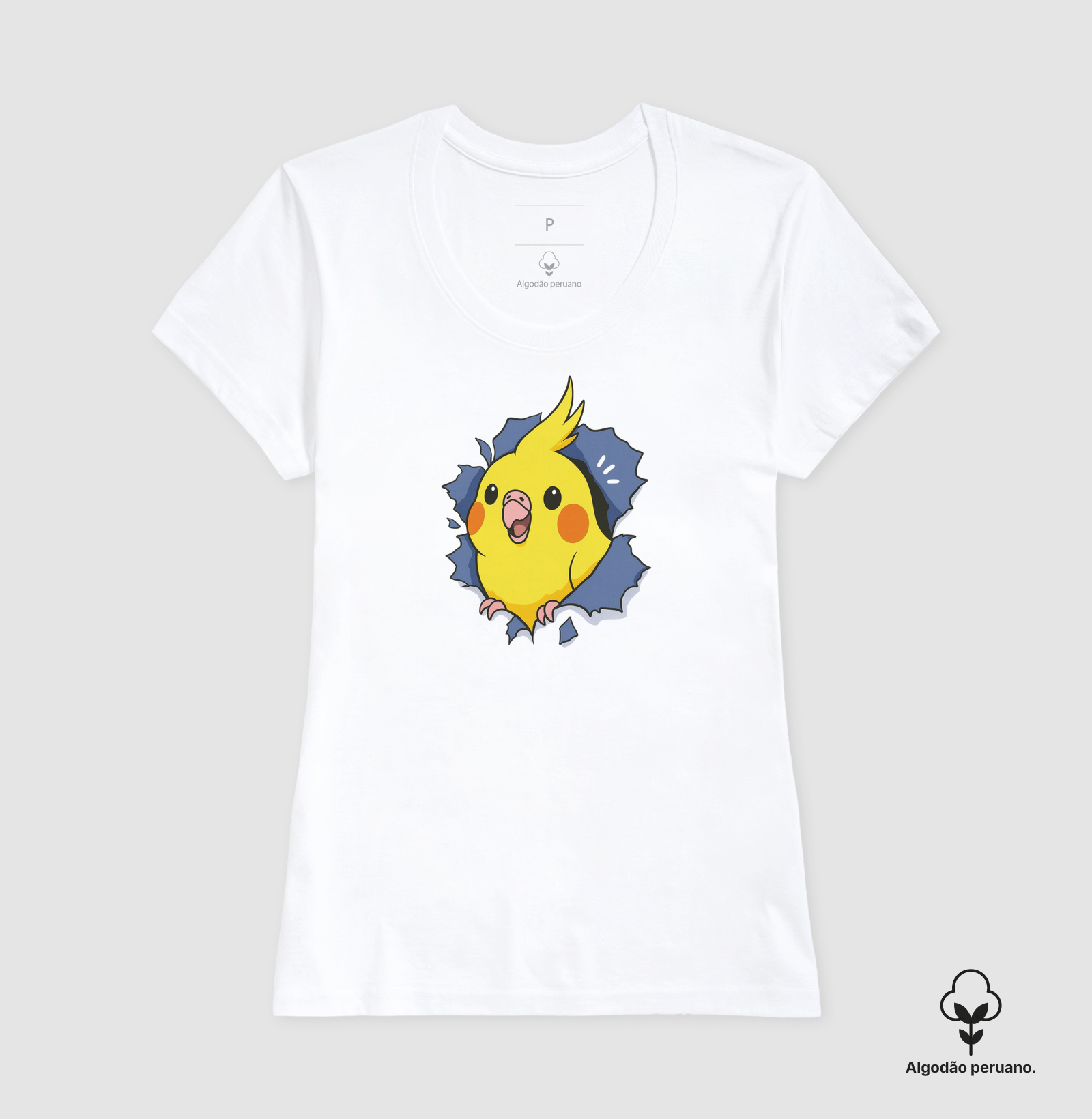 Camisa 2