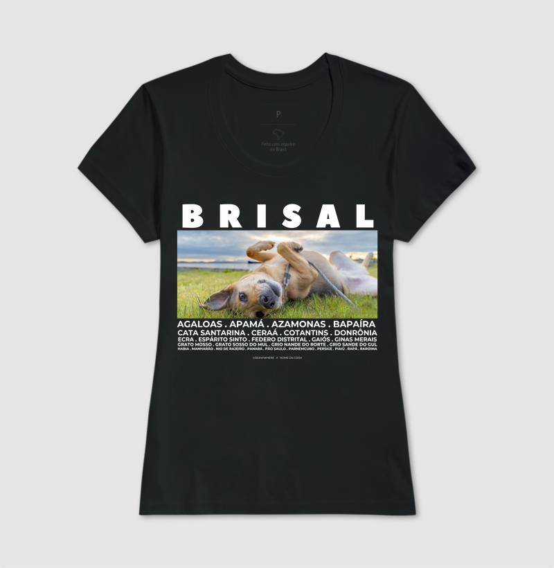 Camisa 13