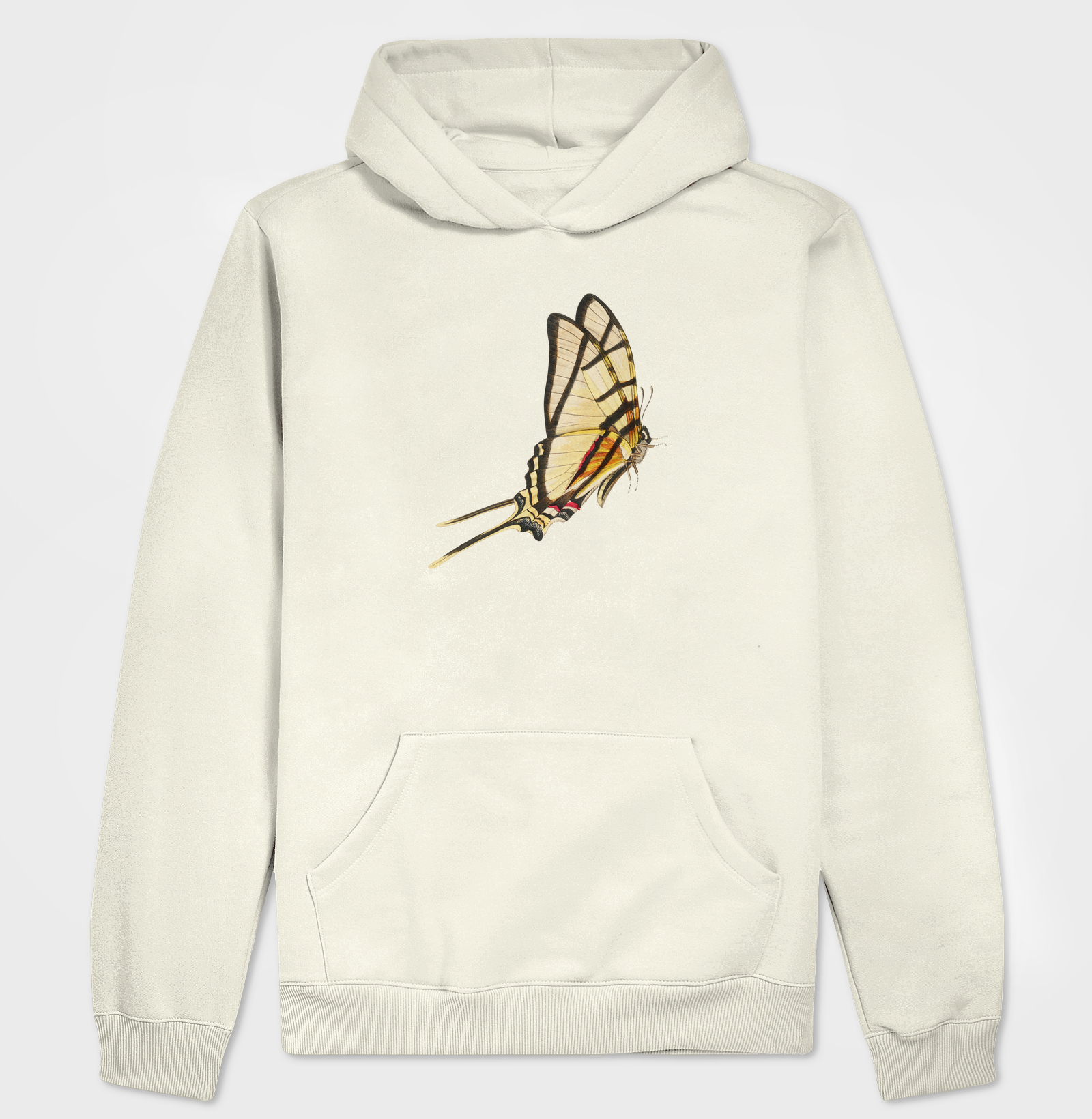 Borboleta
